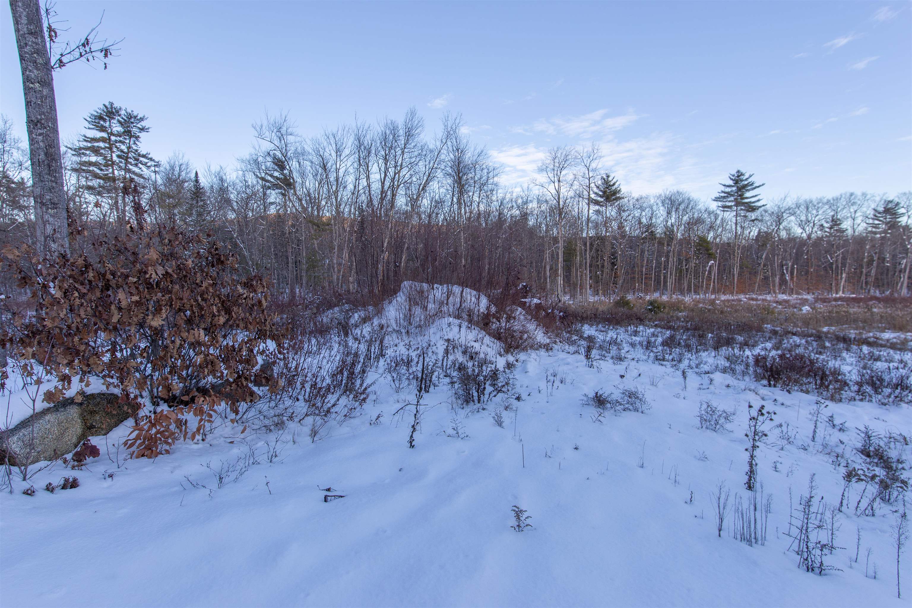 MLS #5073668 image #6