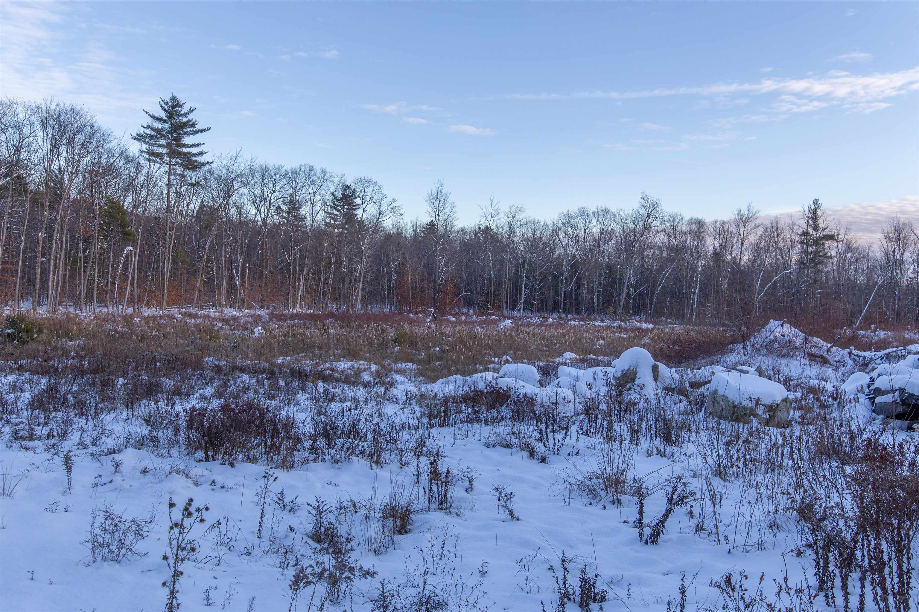 MLS #5073668 image #8