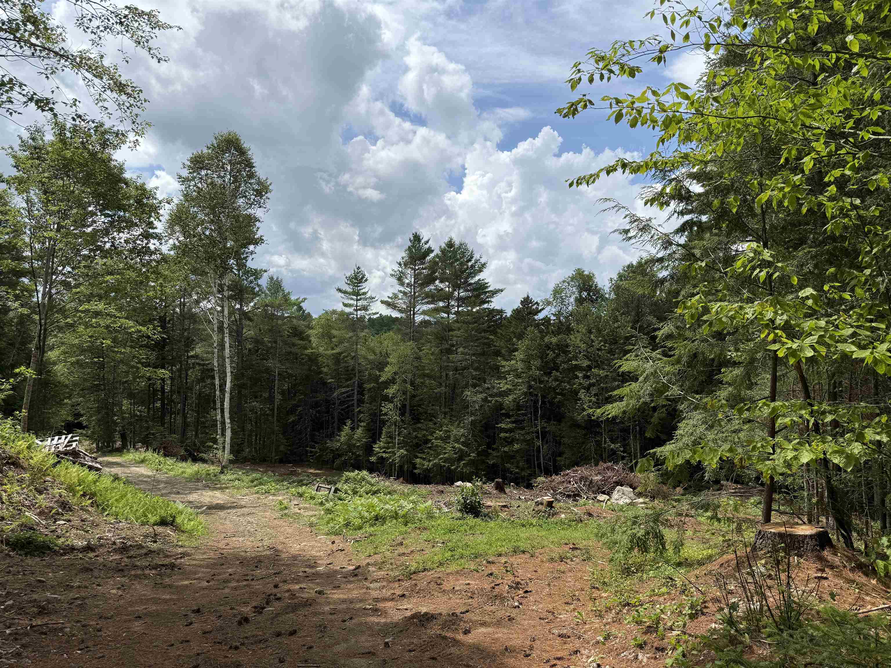 4.41 ac+/- 2 Separate Lots 24591931