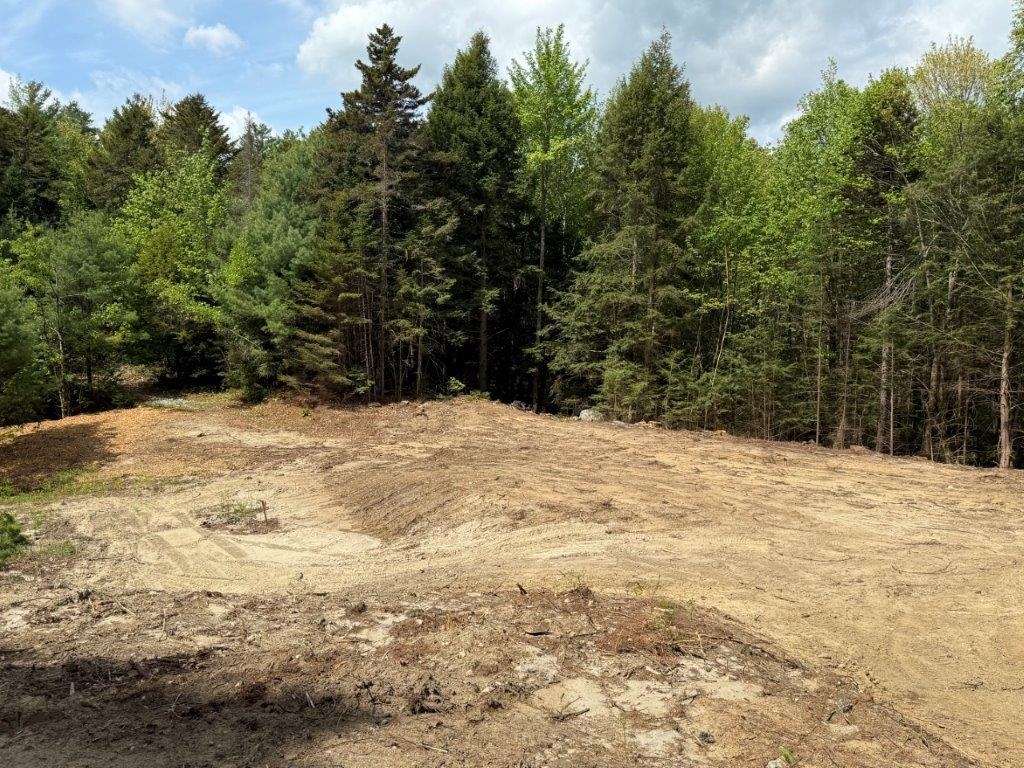 Sandy Soils 24591941