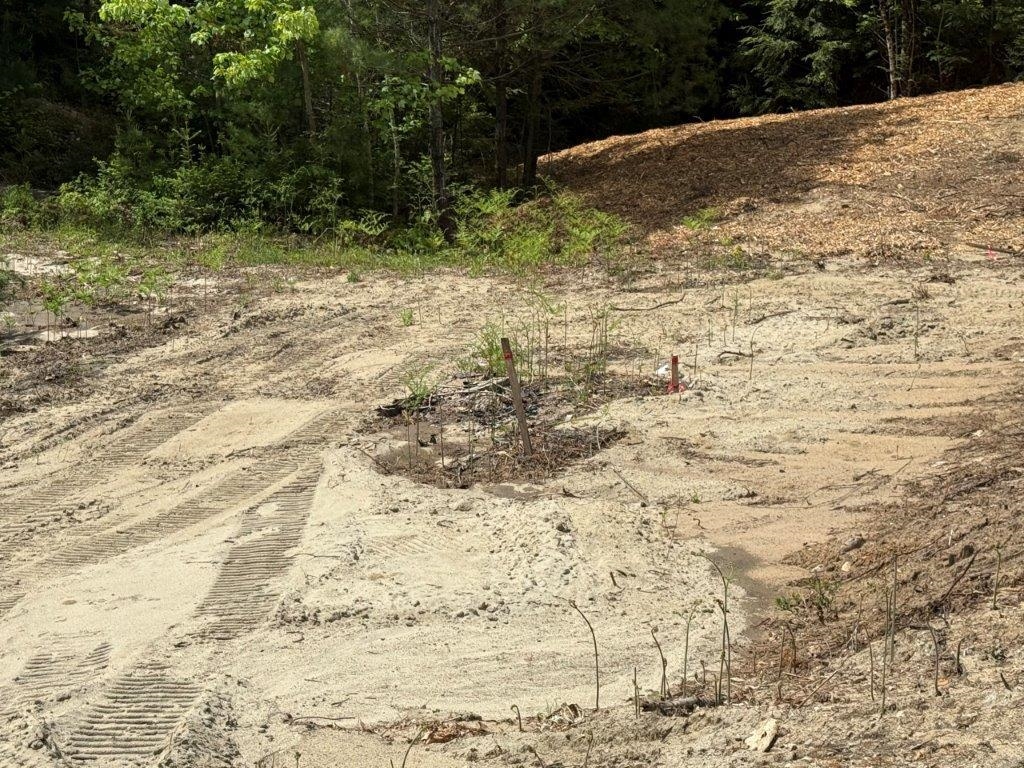 Surveyed & Perc Tested 24591943