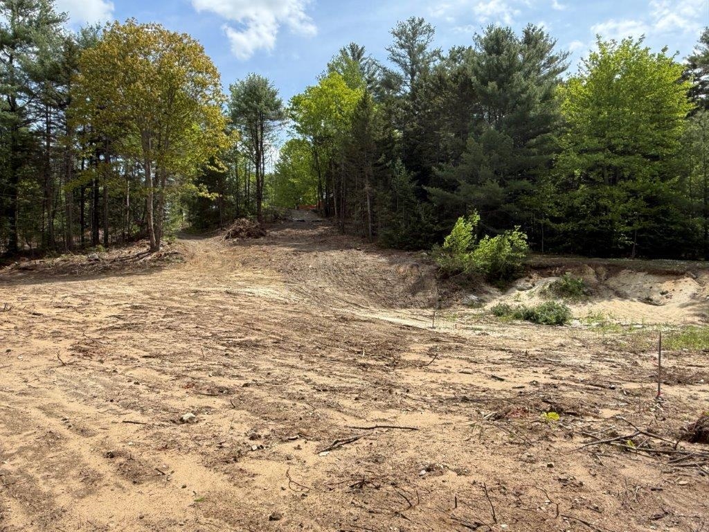 2 Approved Lots 24591945