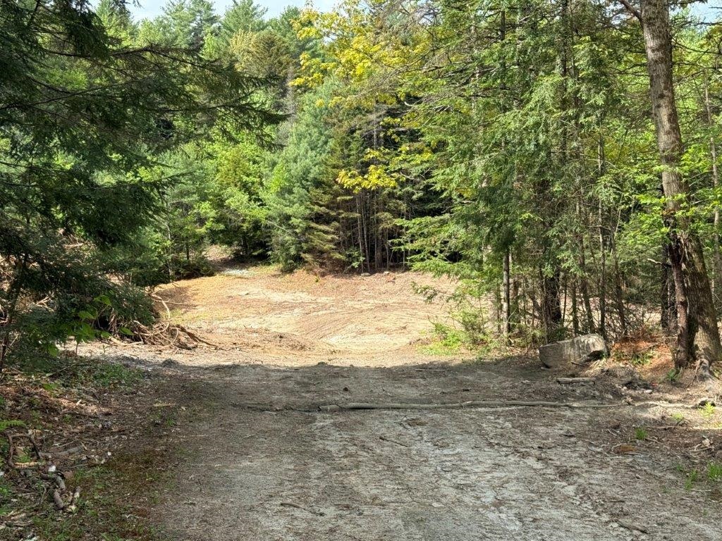 2 Approved Lots 24591949