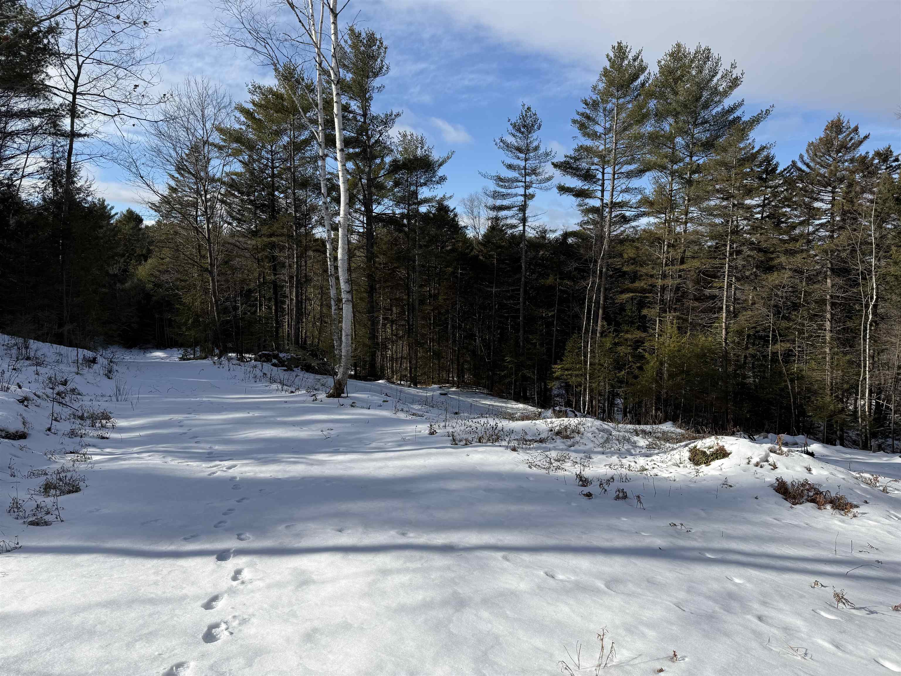 Side By Side Lots 24595493