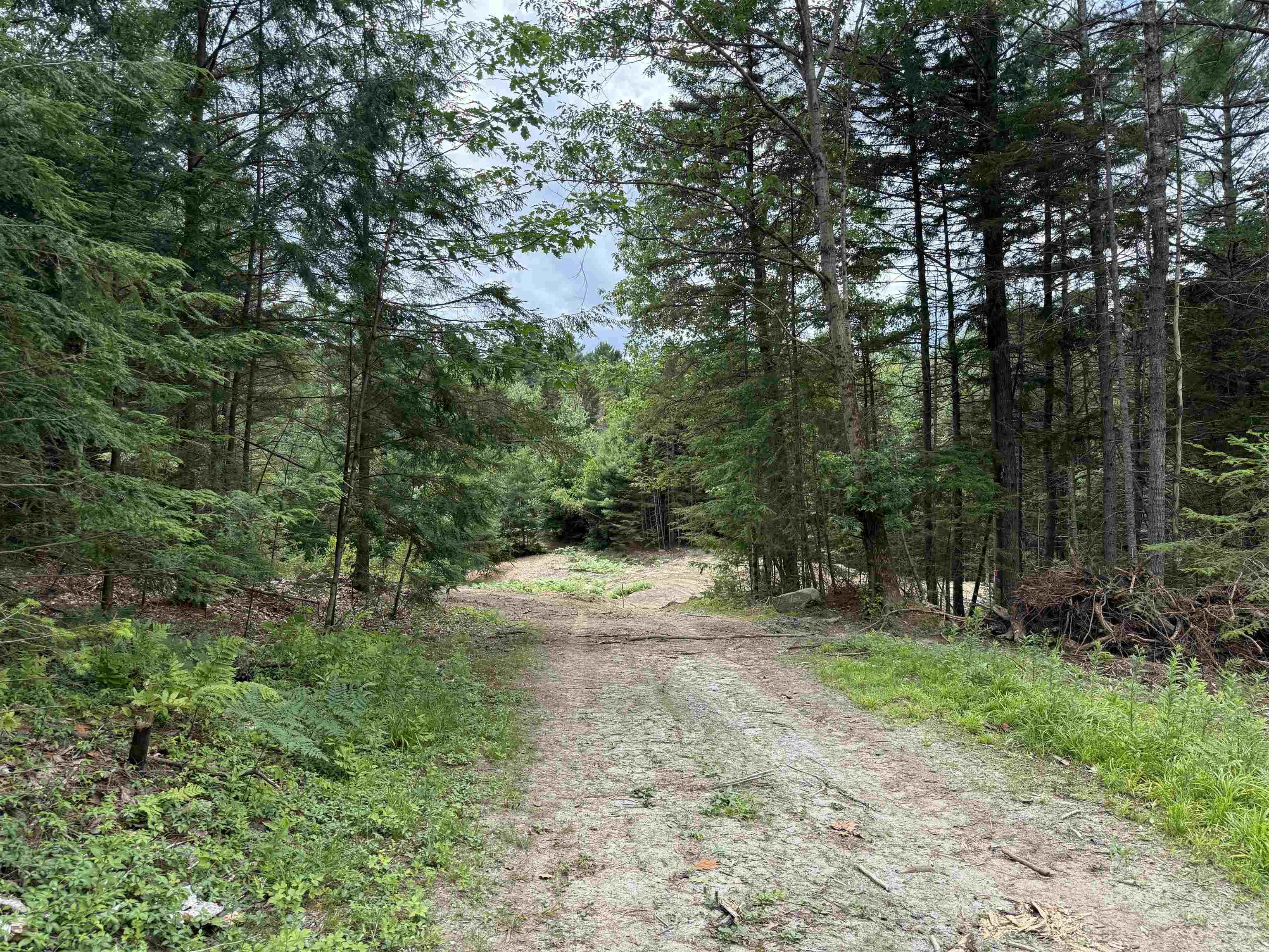 Driveway Roughed In 24591933