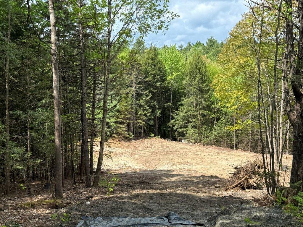 Build Your New Home 24591934