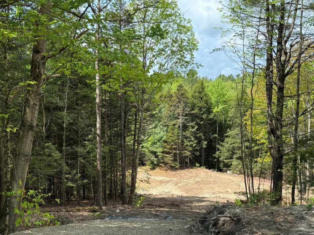 Driveway Roughed In 24591937