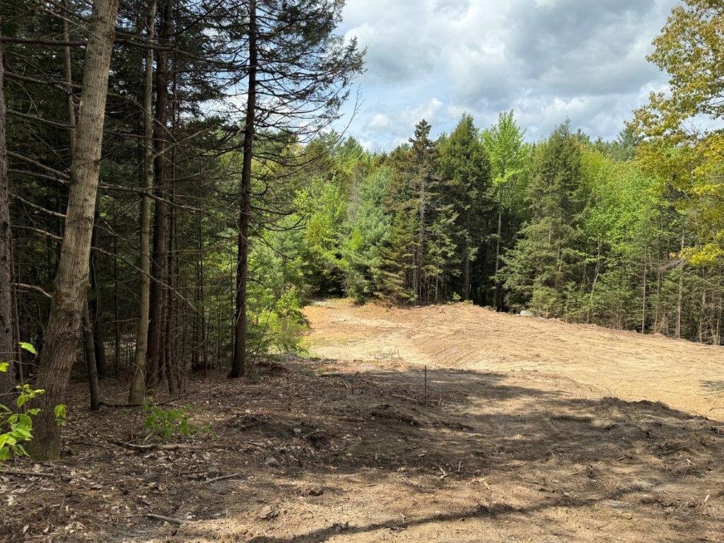 Cleared Building Area 24591939