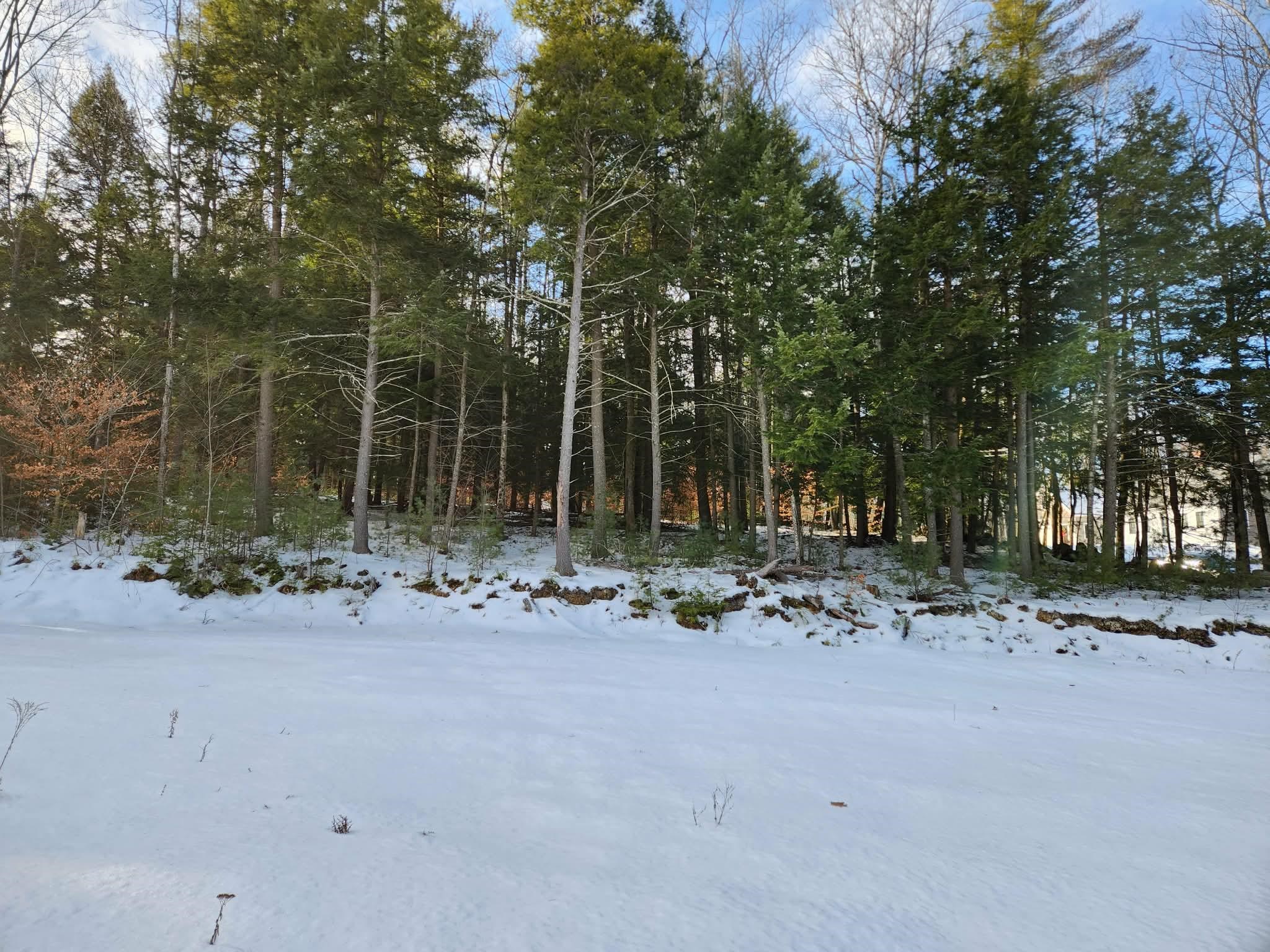 MLS #5073822 image #12