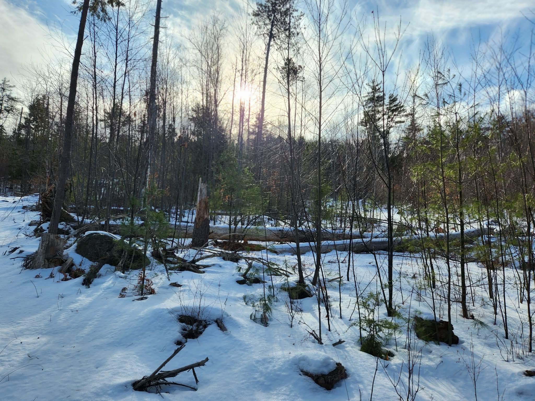 MLS #5073822 image #13