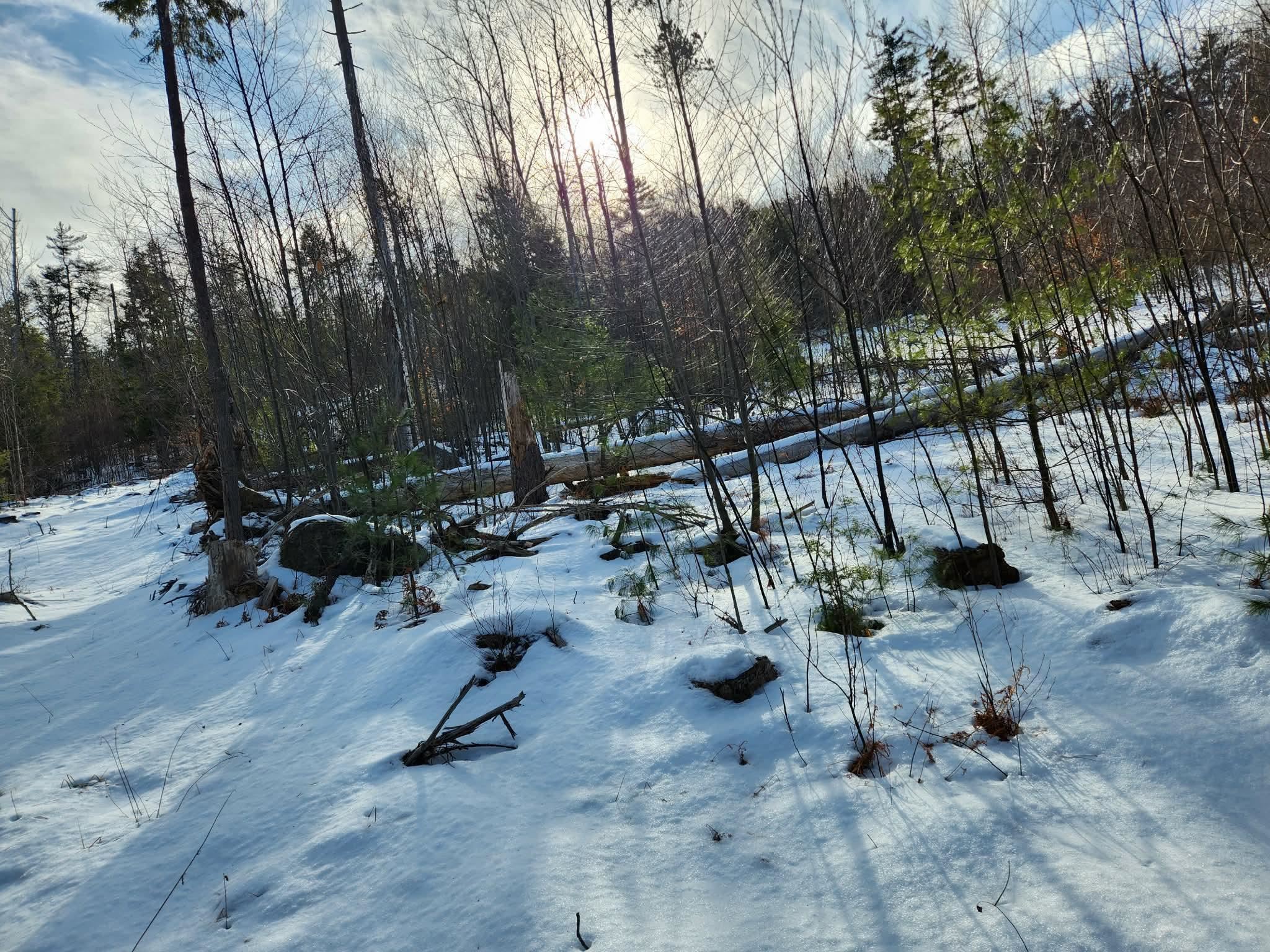 MLS #5073822 image #14