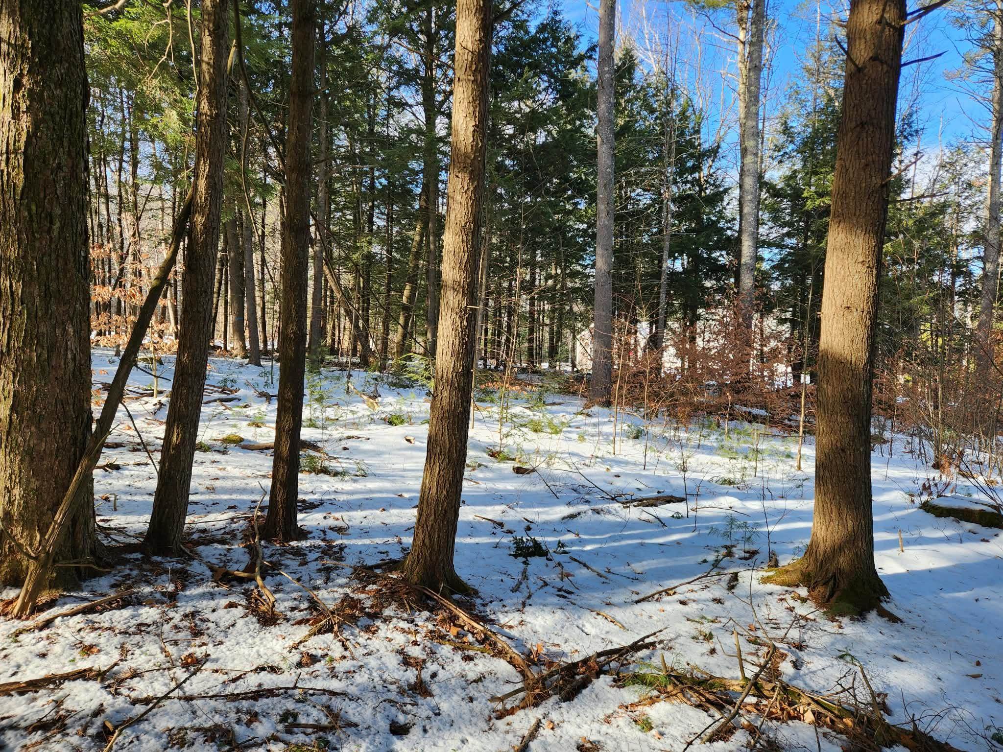 MLS #5073822 image #15