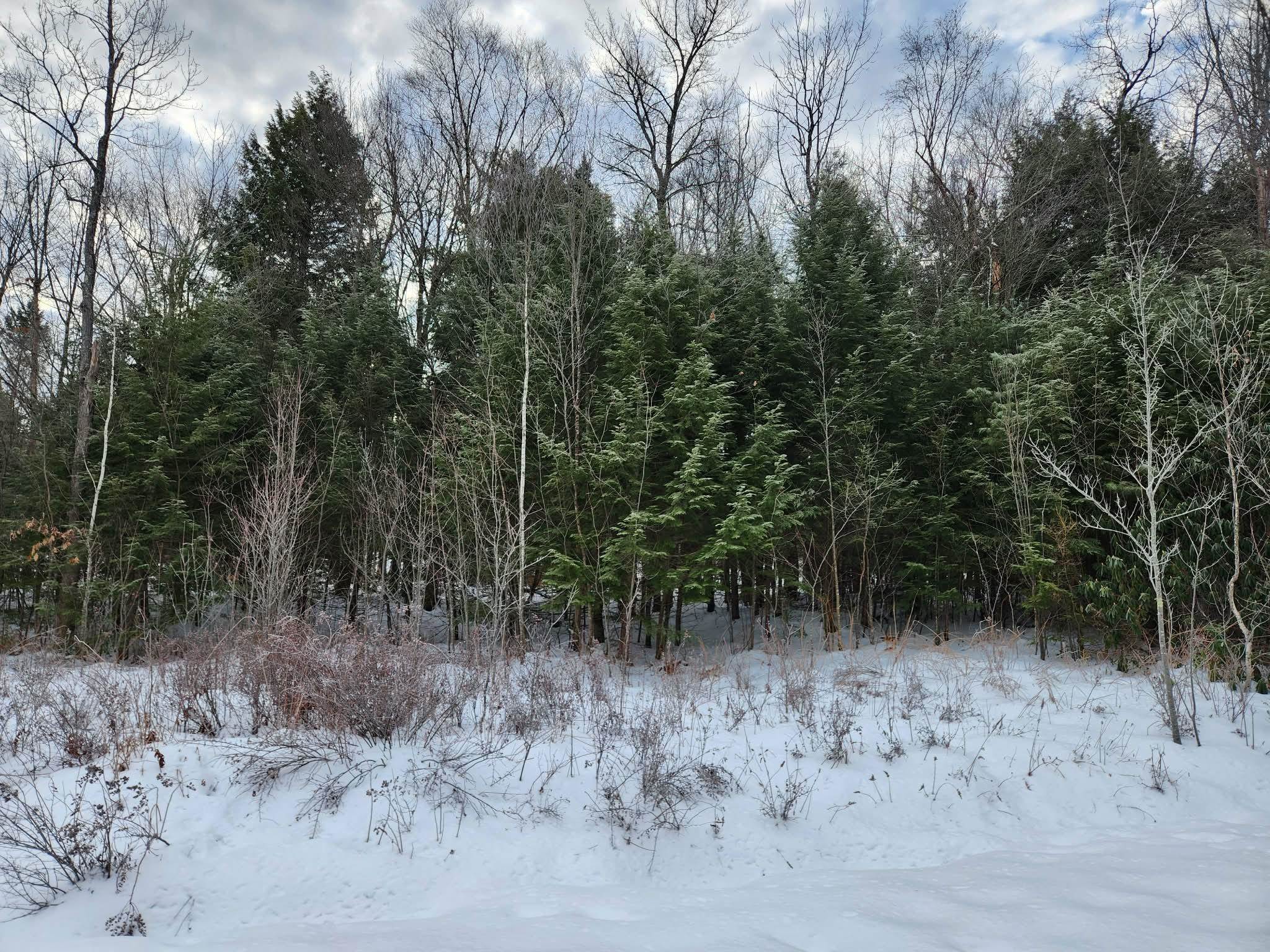 MLS #5073822 image #16