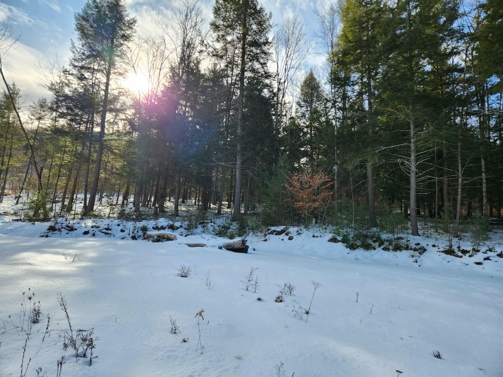 MLS #5073822 image #18