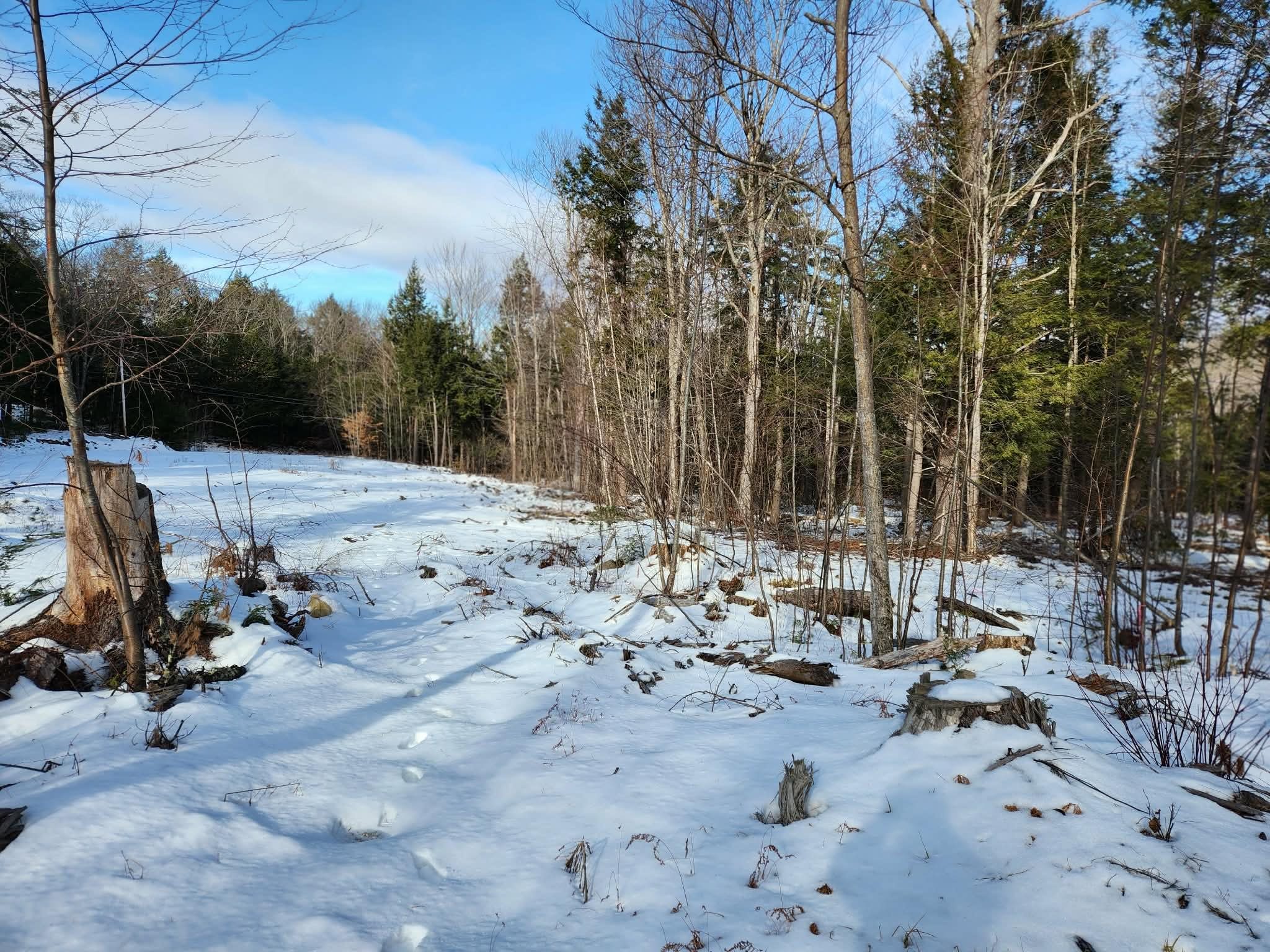 MLS #5073822 image #19