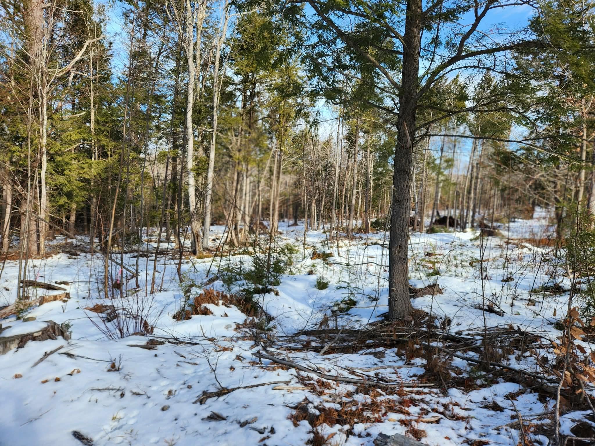 MLS #5073822 image #21