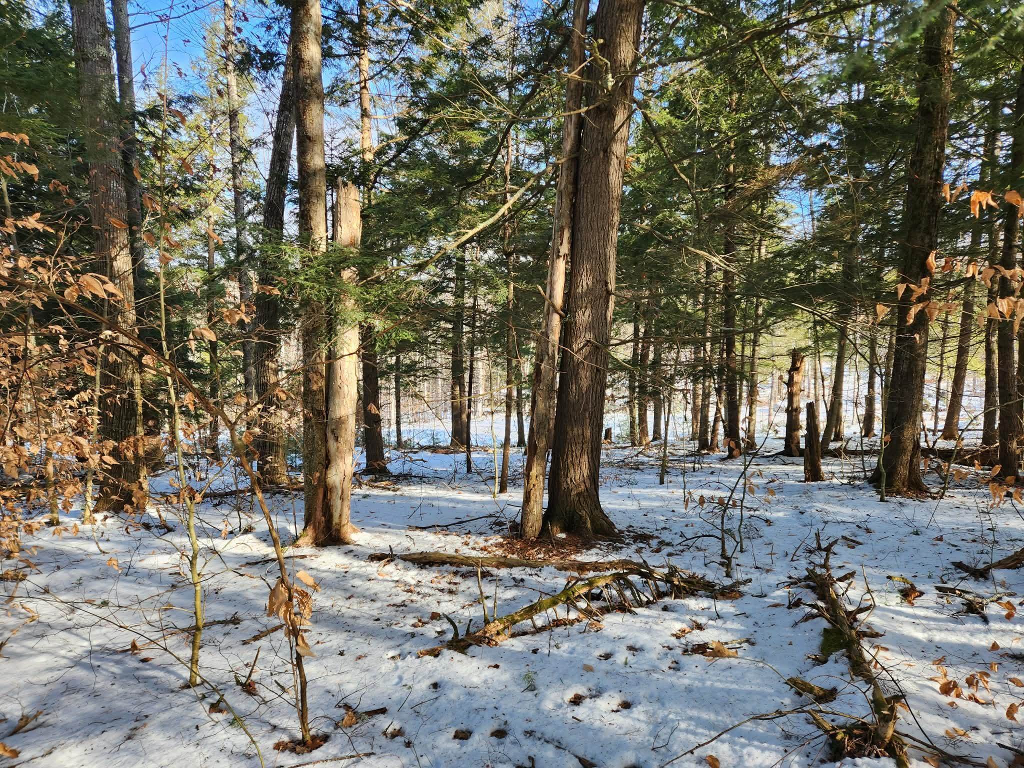 MLS #5073822 image #22