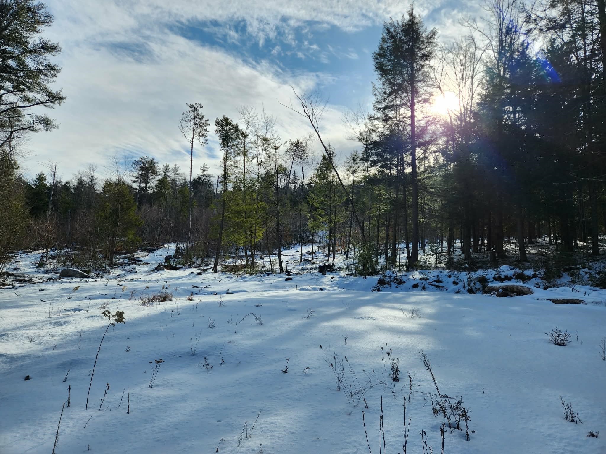 MLS #5073822 image #23