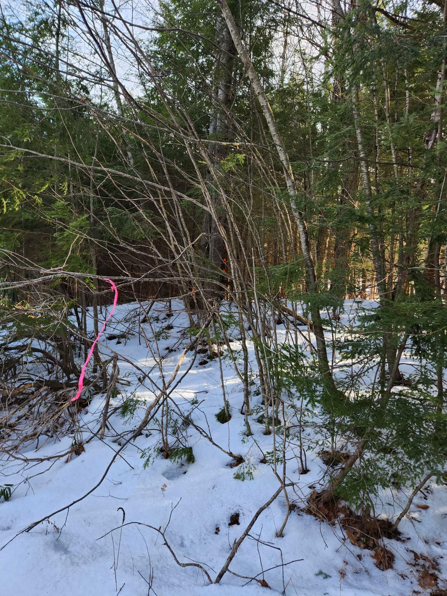 MLS #5073822 image #26