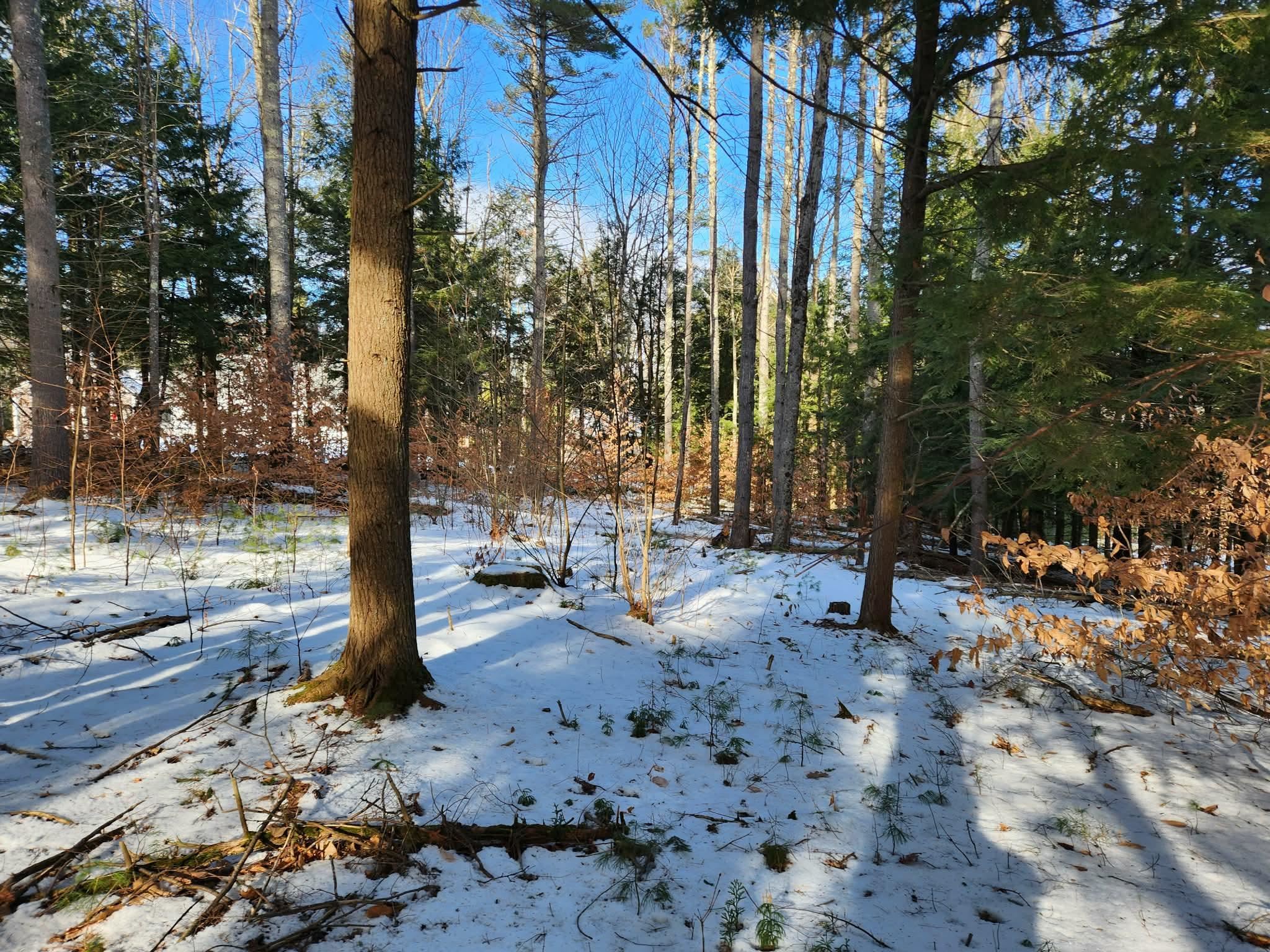 MLS #5073822 image #27