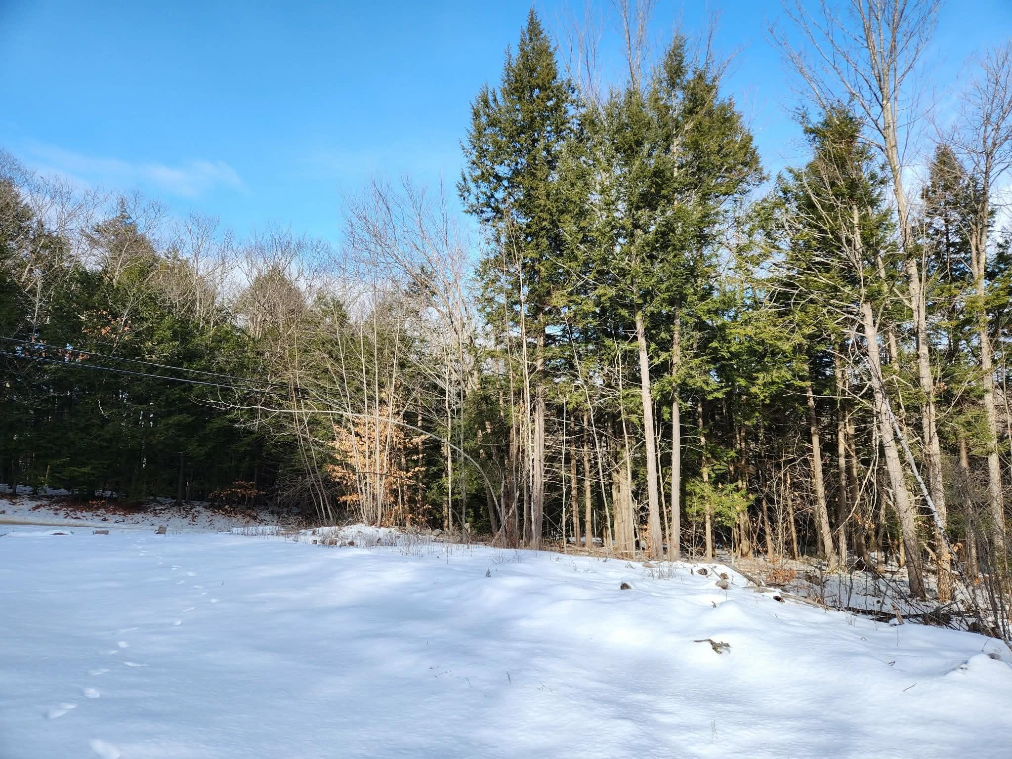 MLS #5073822 image #28