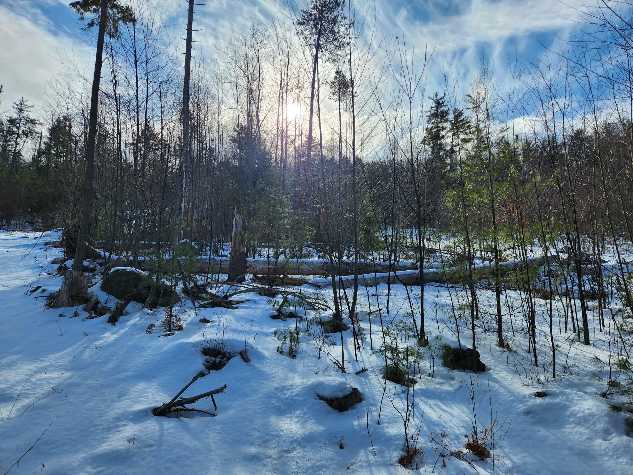 MLS #5073822 image #29