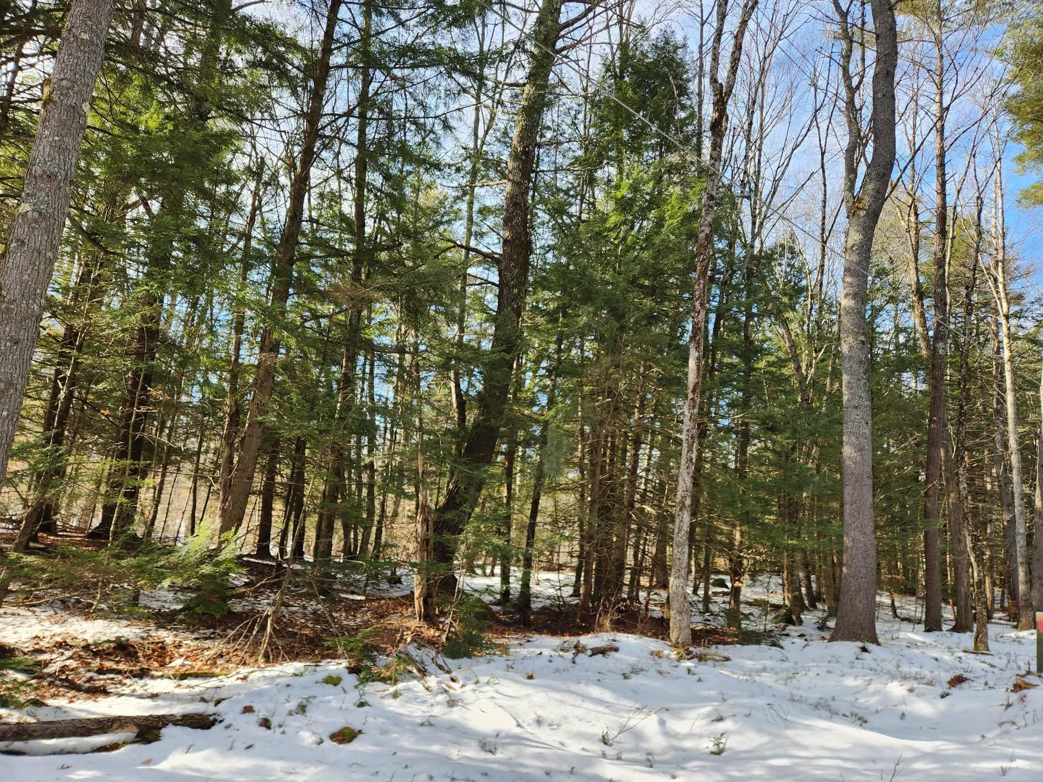 MLS #5073822 image #3