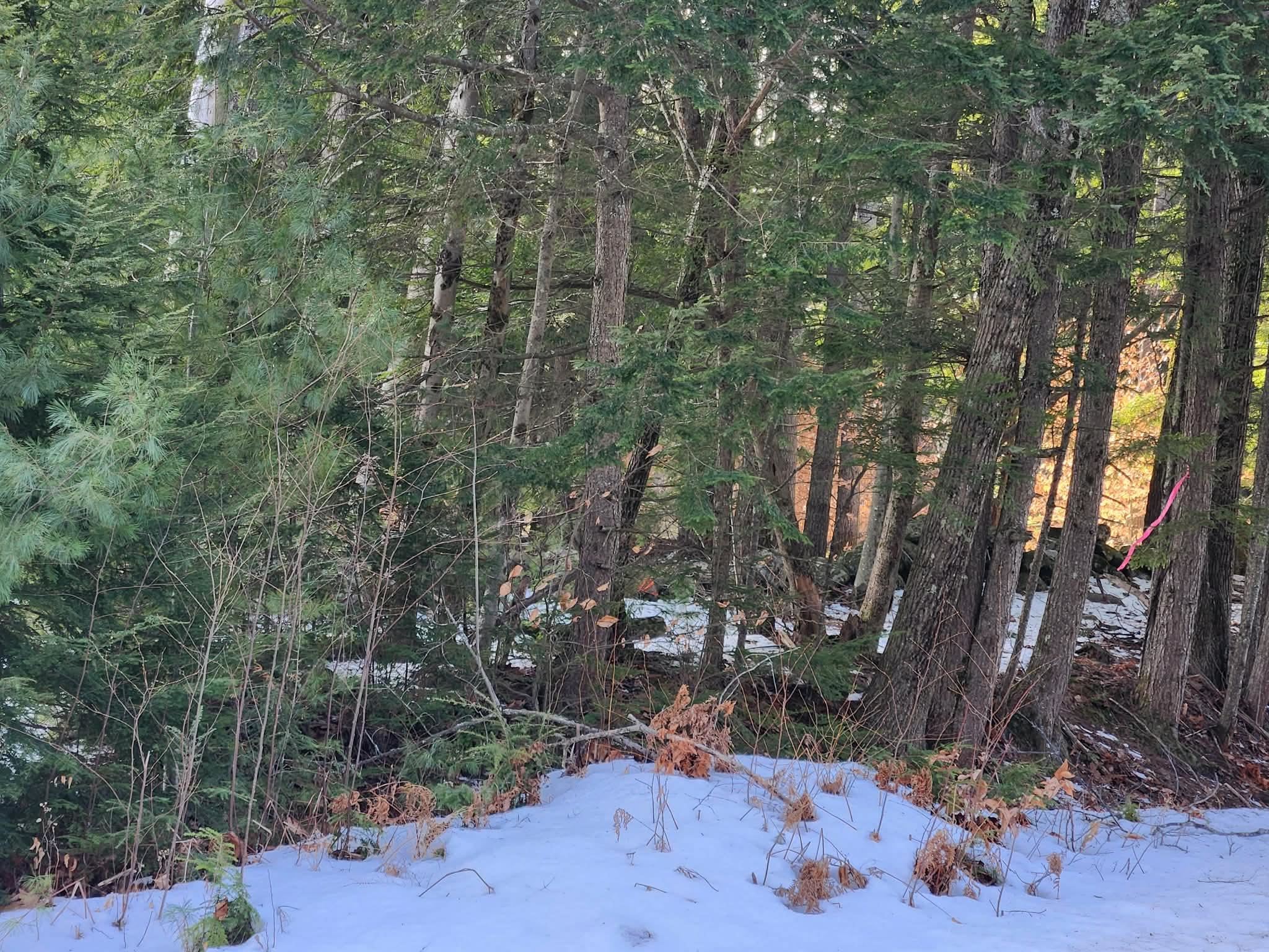 MLS #5073822 image #4