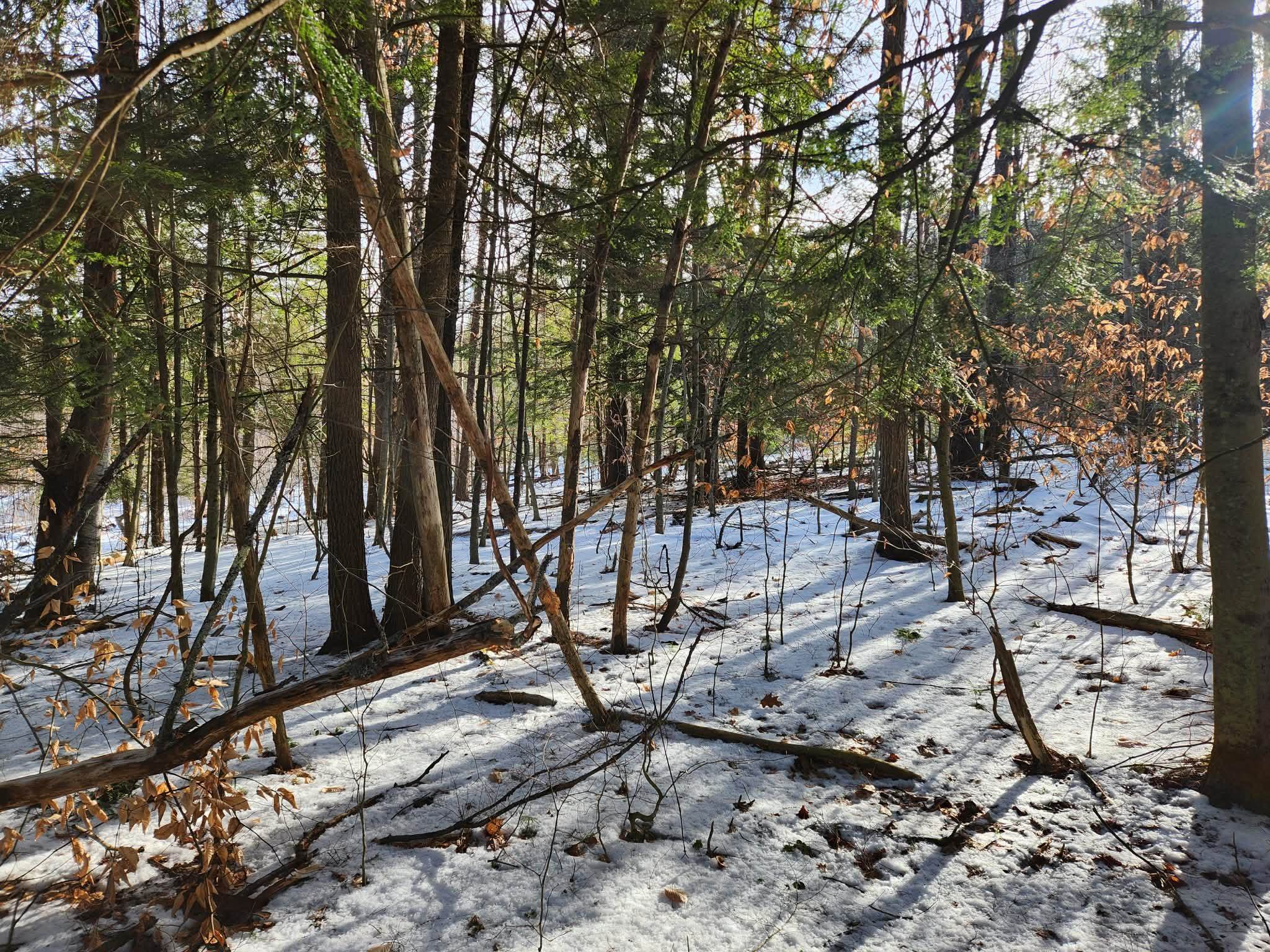 MLS #5073822 image #7