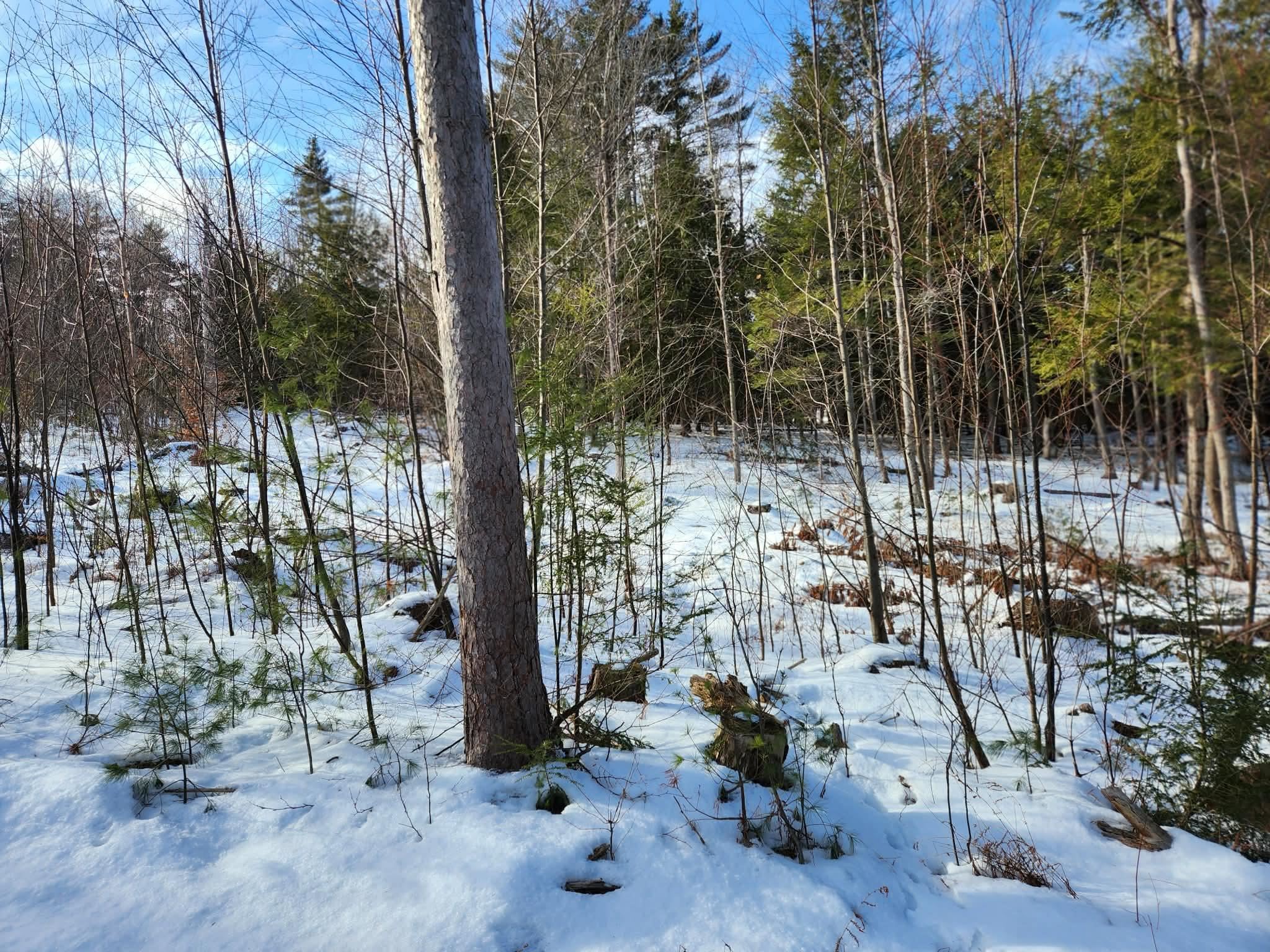 MLS #5073822 image #9