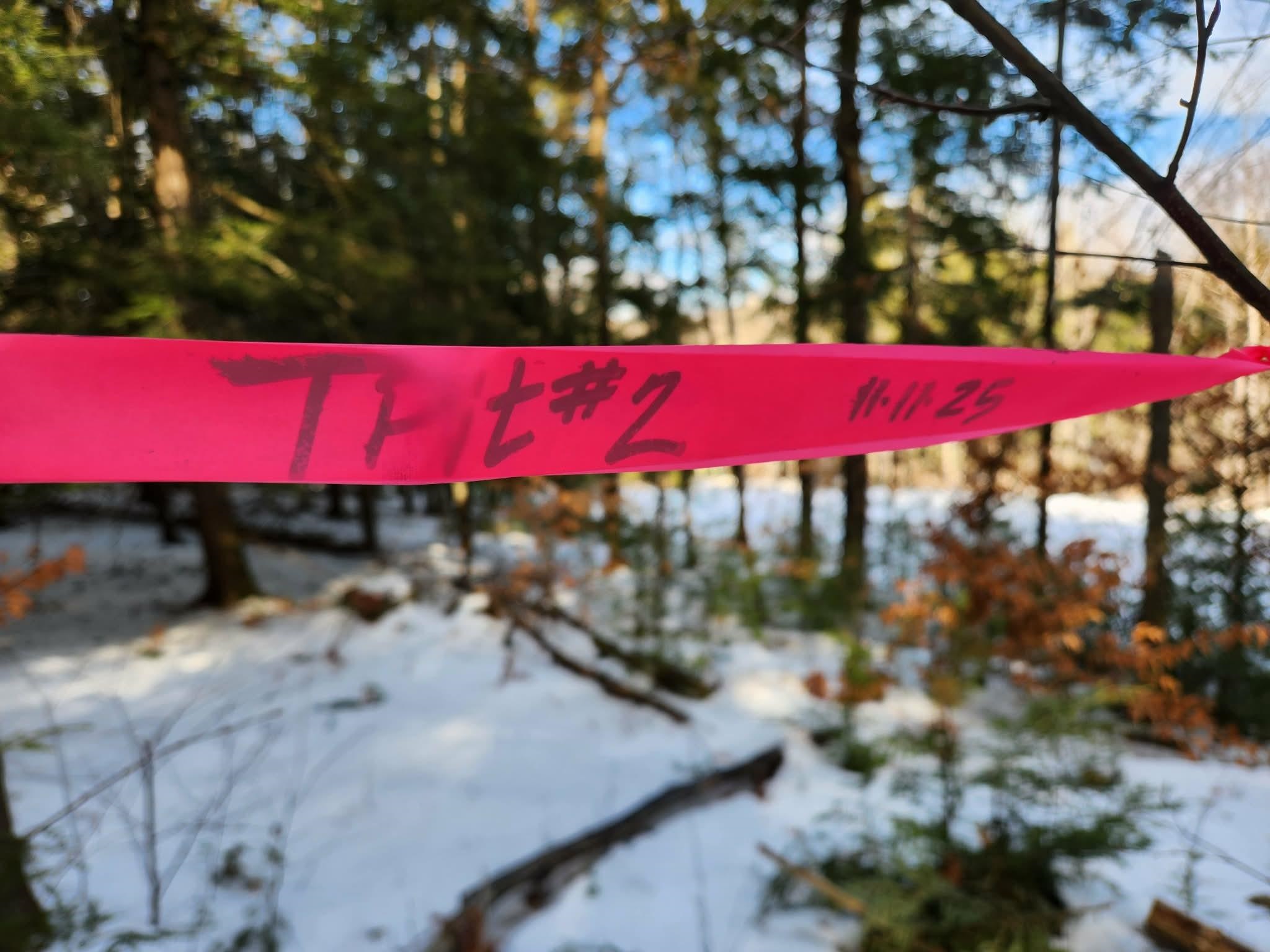 MLS #5073827 image #10