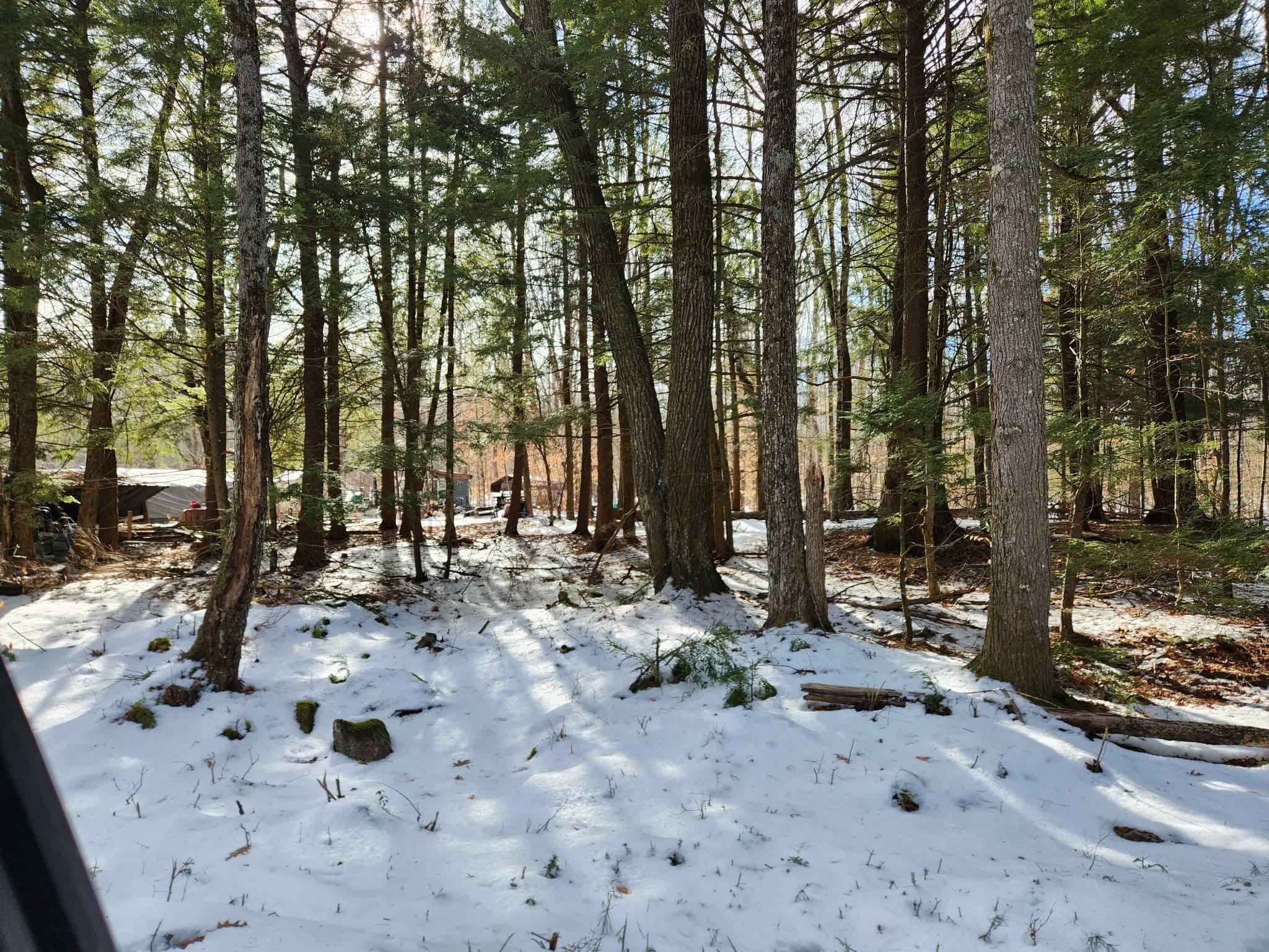 MLS #5073827 image #11