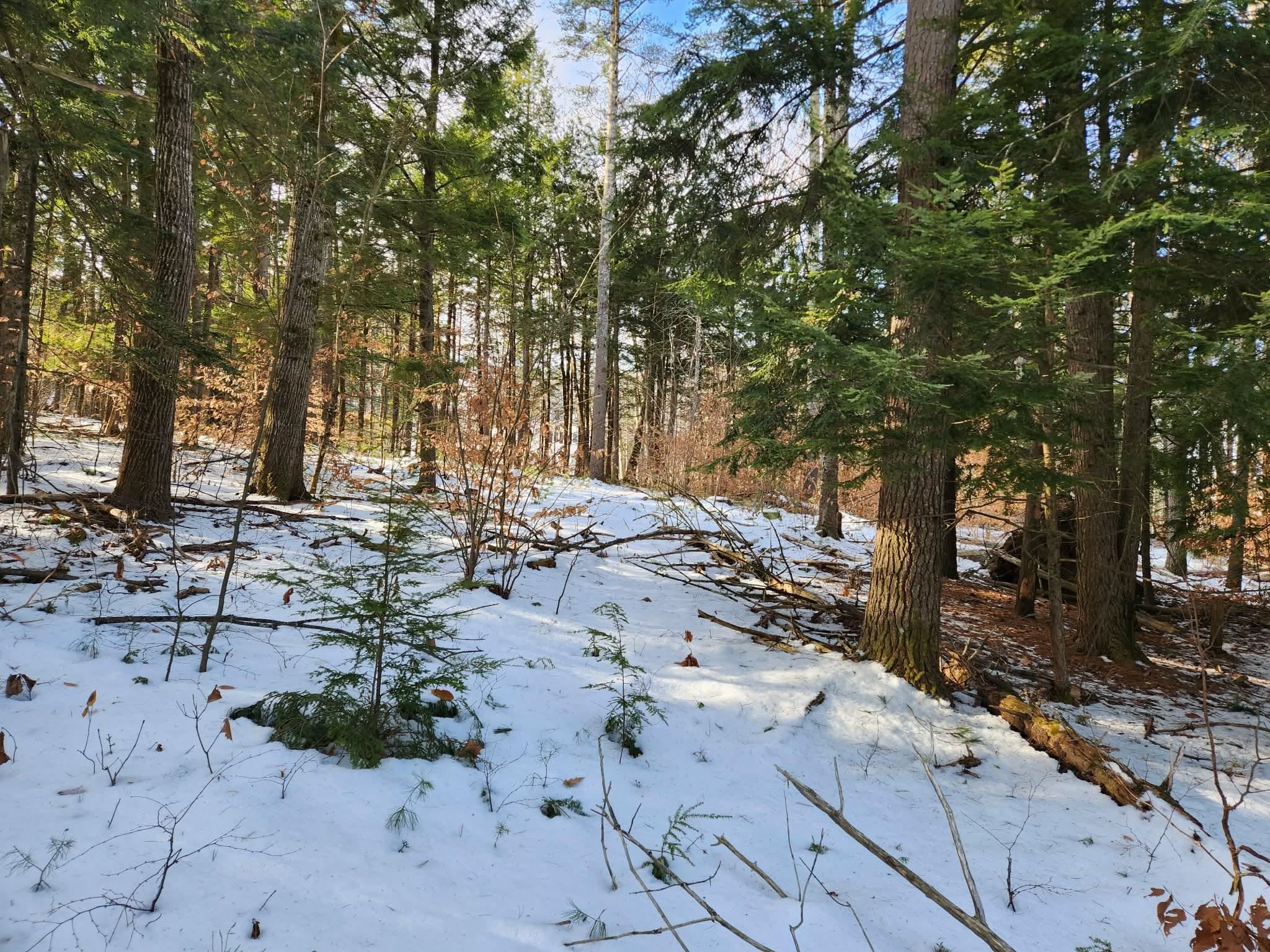 MLS #5073827 image #14