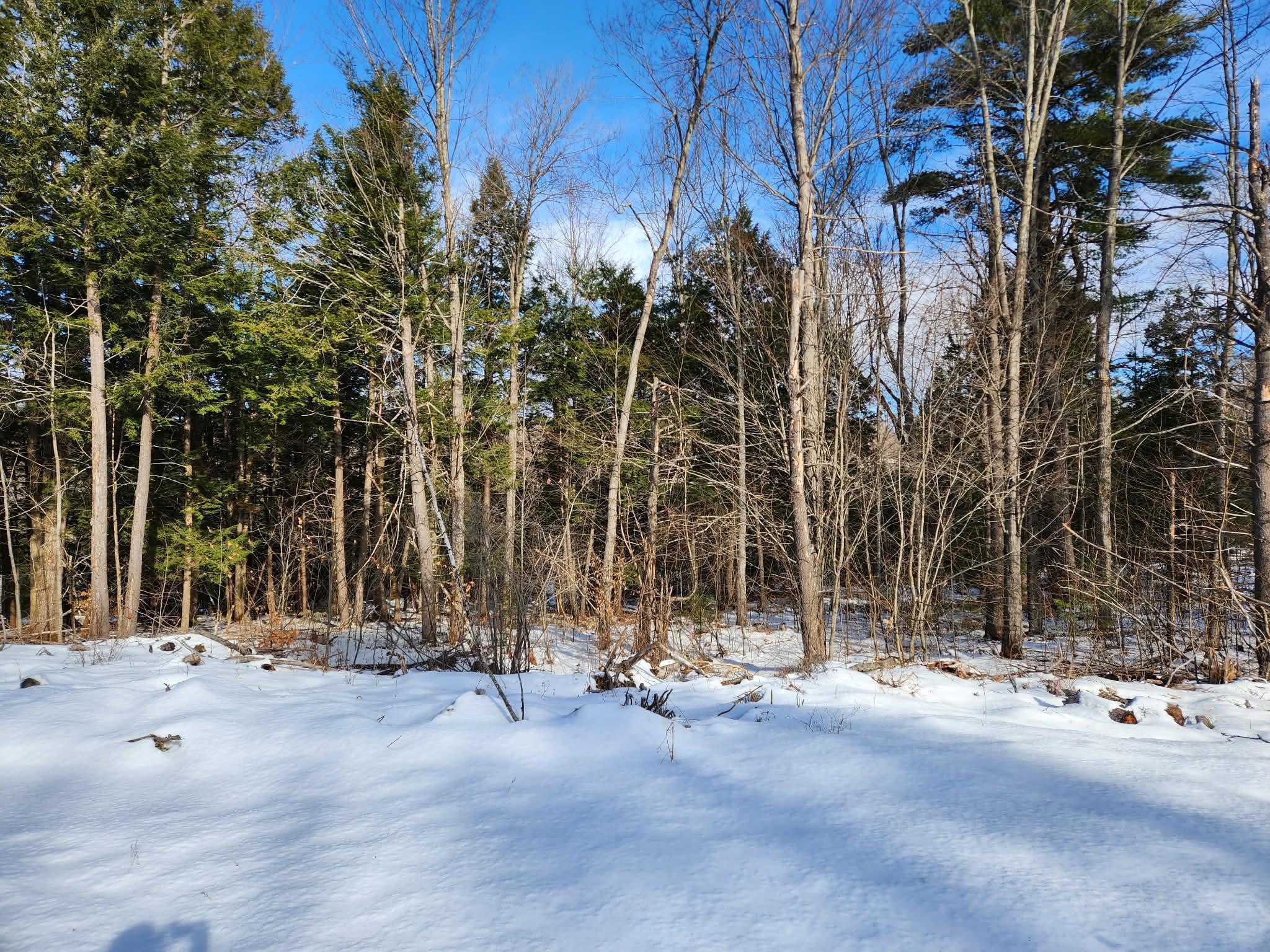 MLS #5073827 image #15