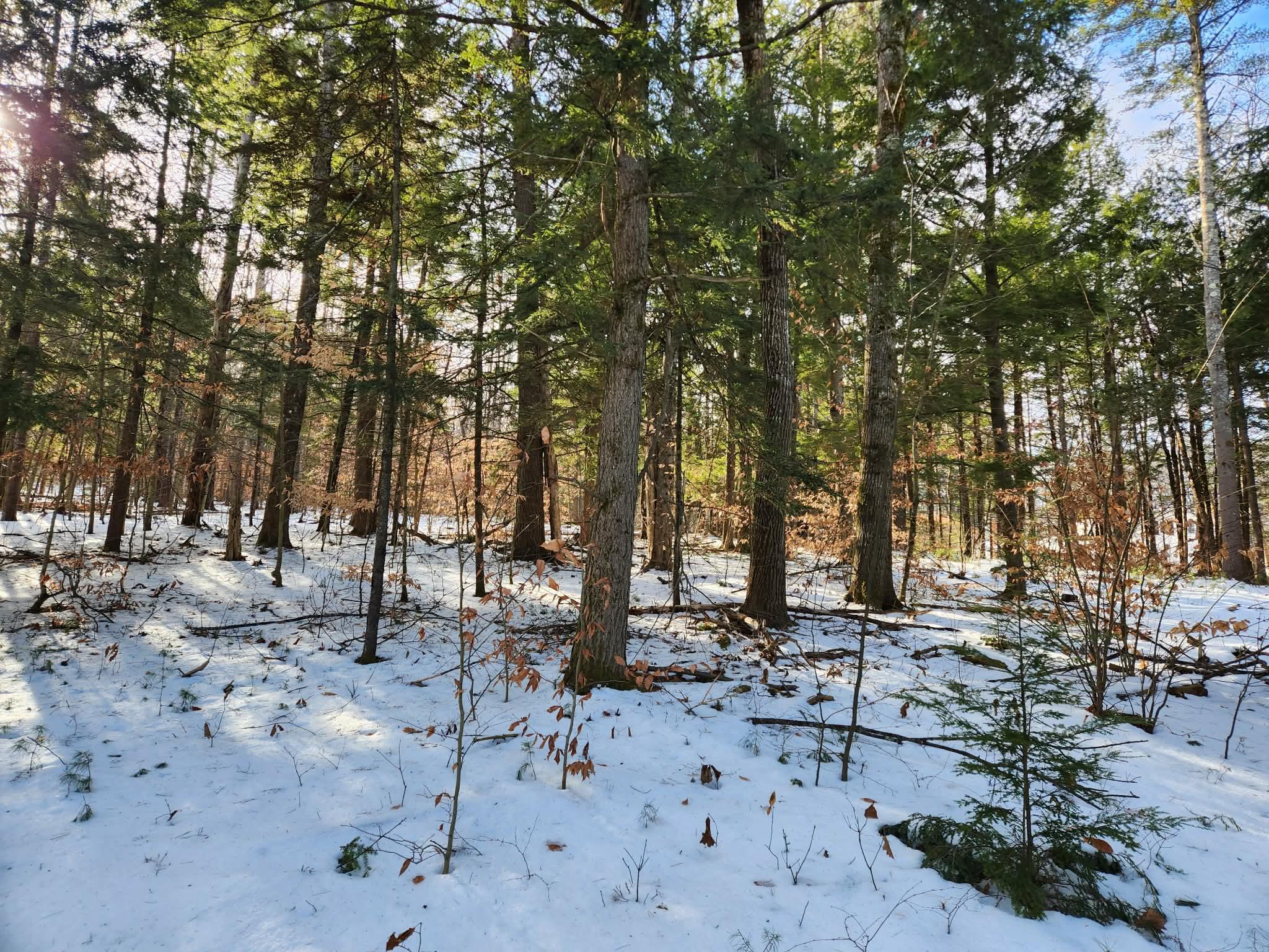 MLS #5073827 image #17