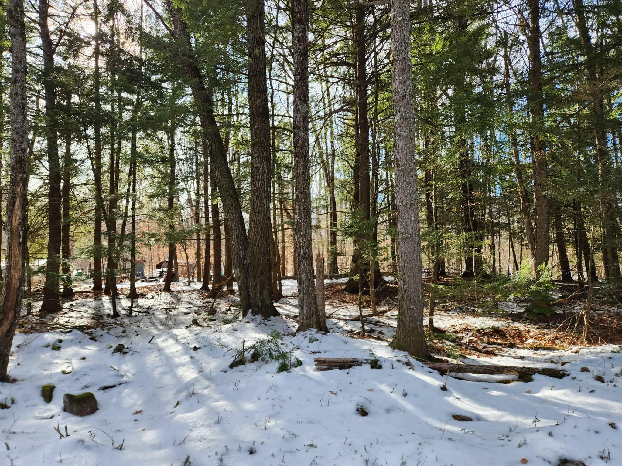 MLS #5073827 image #20