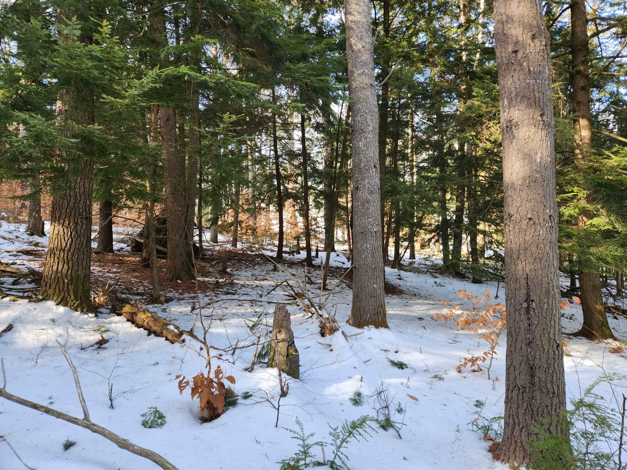 MLS #5073827 image #21