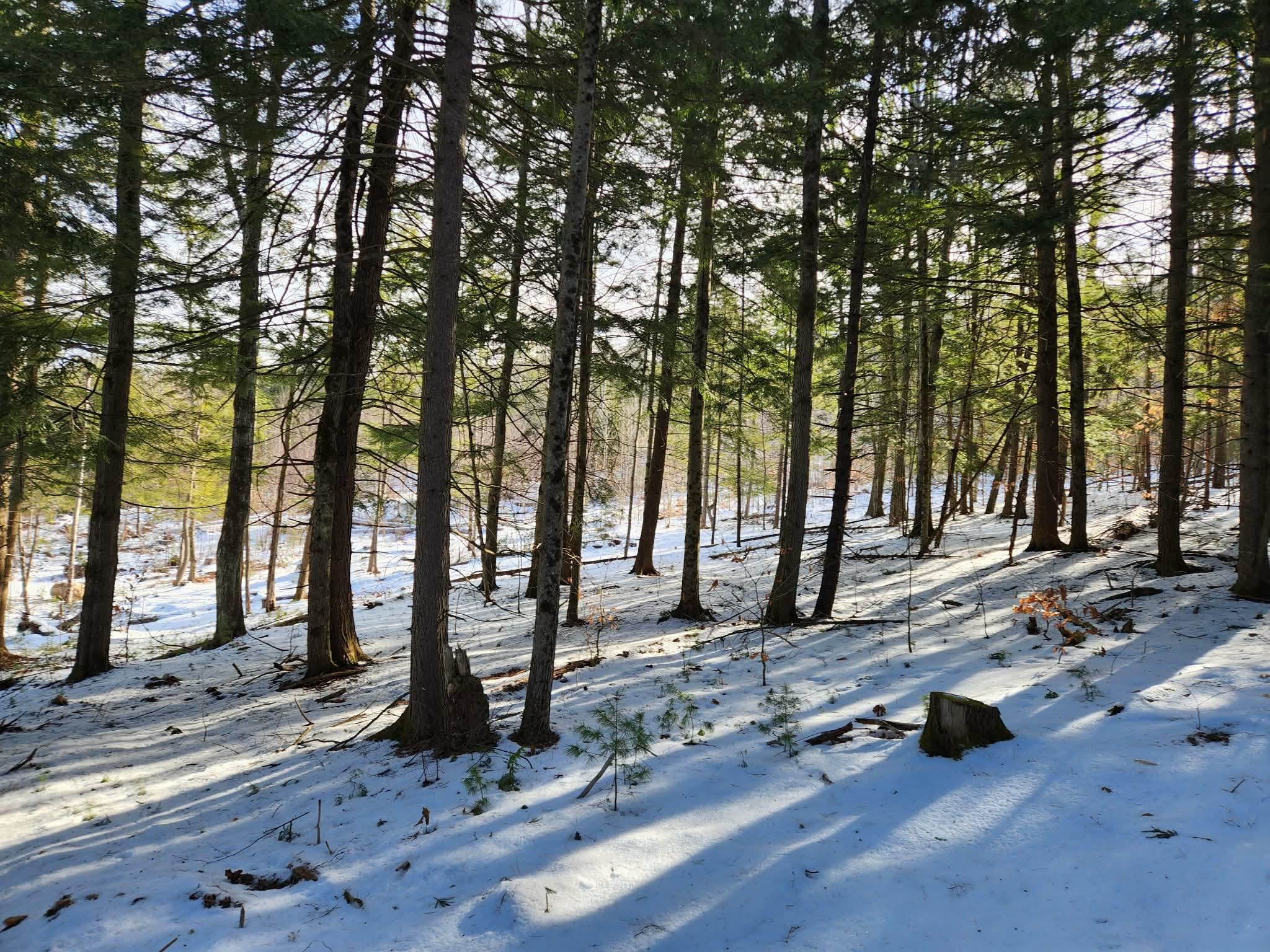 MLS #5073827 image #3