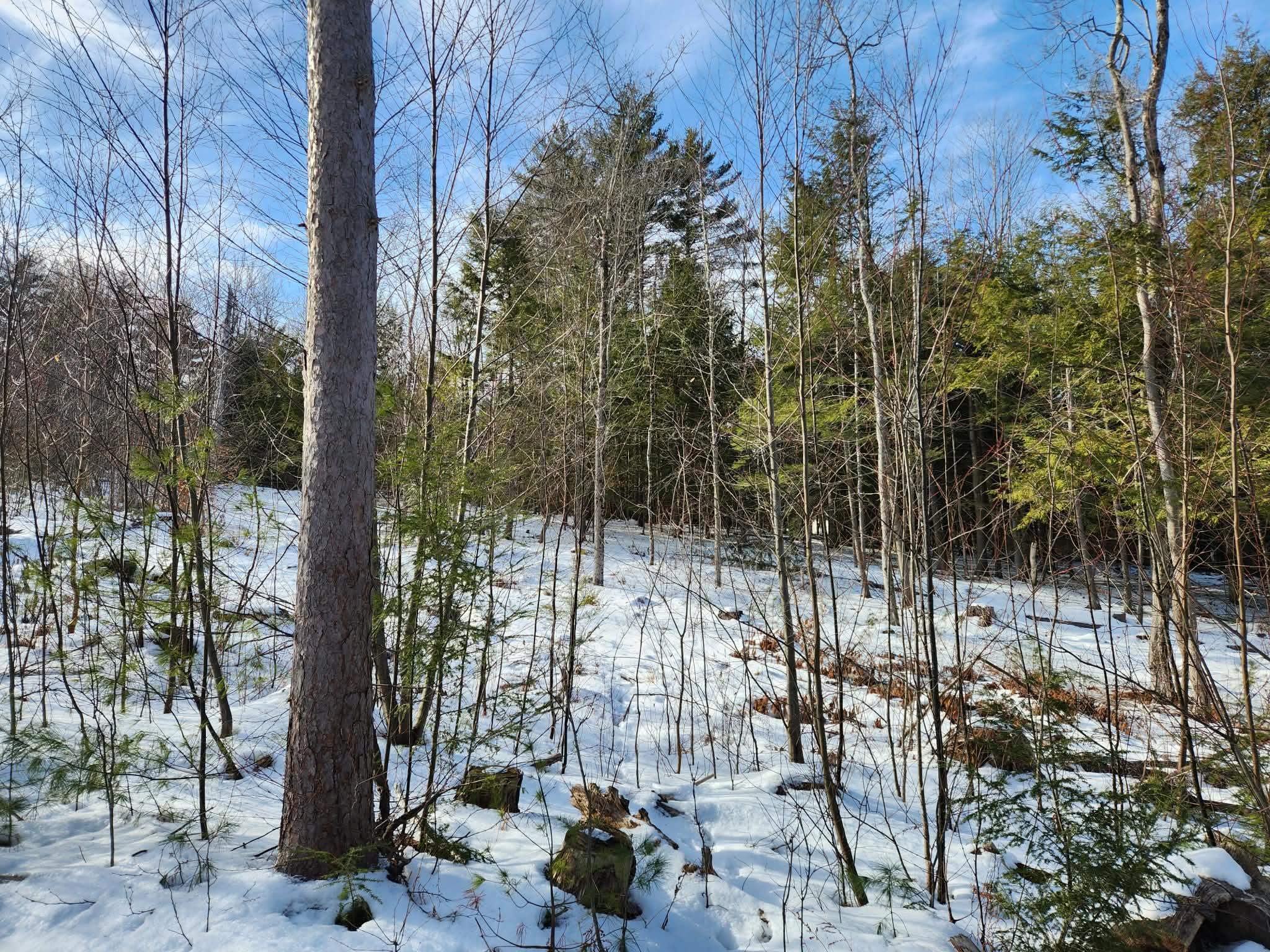 MLS #5073827 image #4