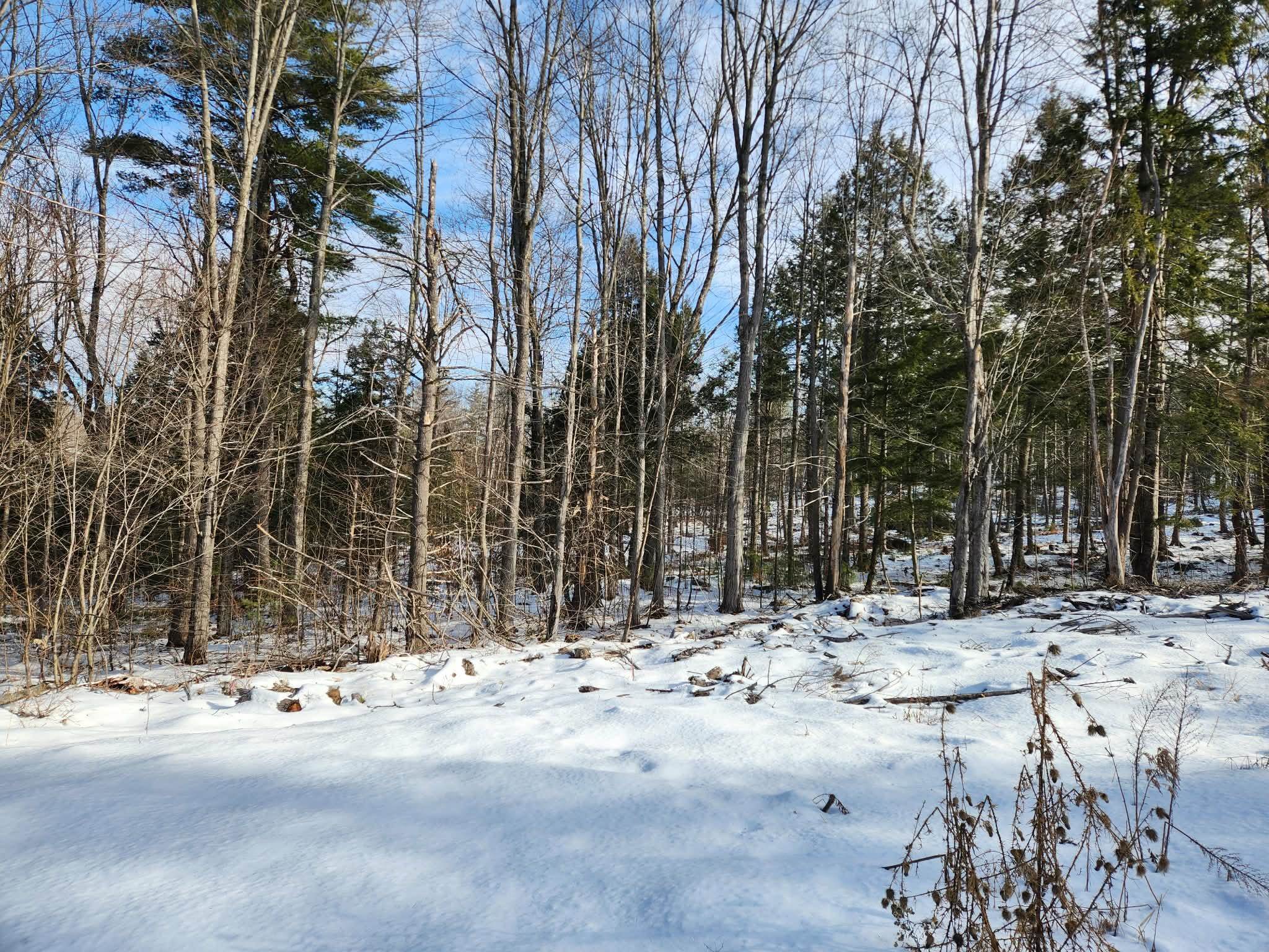 MLS #5073827 image #6