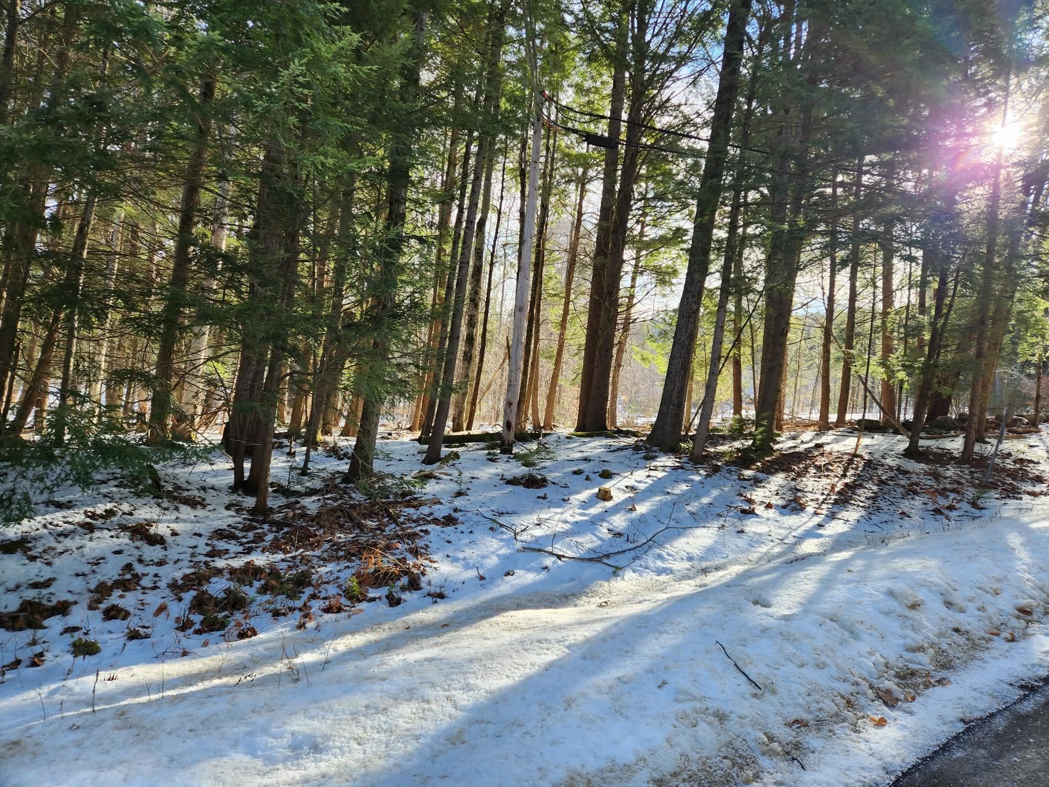 MLS #5073827 image #8