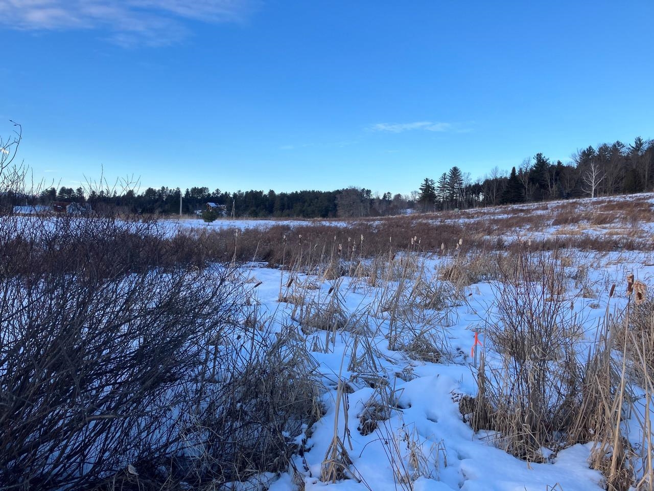 Homes for sale in East Montpelier, VT | 0 L Brown Dr, East Montpelier, VT 05602 | MLS# 5073977