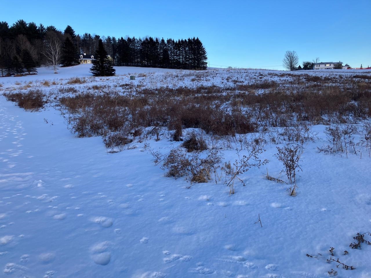 Homes for sale in East Montpelier, VT | 0 L Brown Dr, East Montpelier, VT 05602 | MLS# 5073977