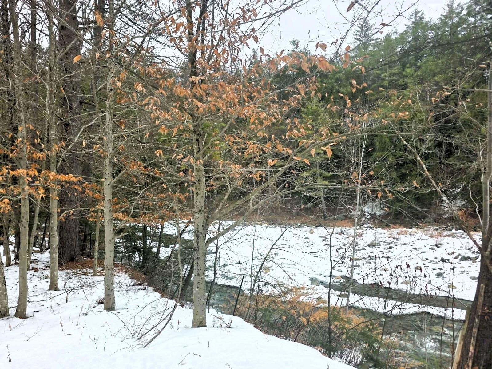 Homes for sale in Newfane, VT | 132 Duke Rd, Newfane, VT 05362 | MLS# 5074167