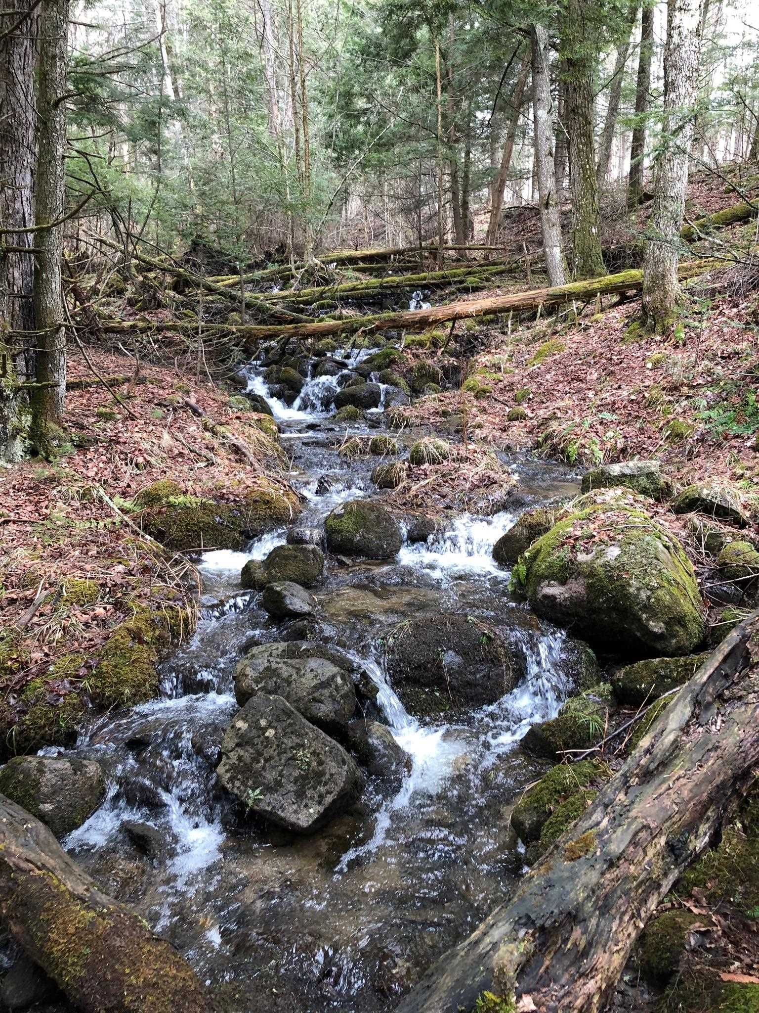 Homes for sale in Albany, VT | 1090 Center Rd #Lots 1 & 2, Albany, VT 05820 | MLS# 5074209