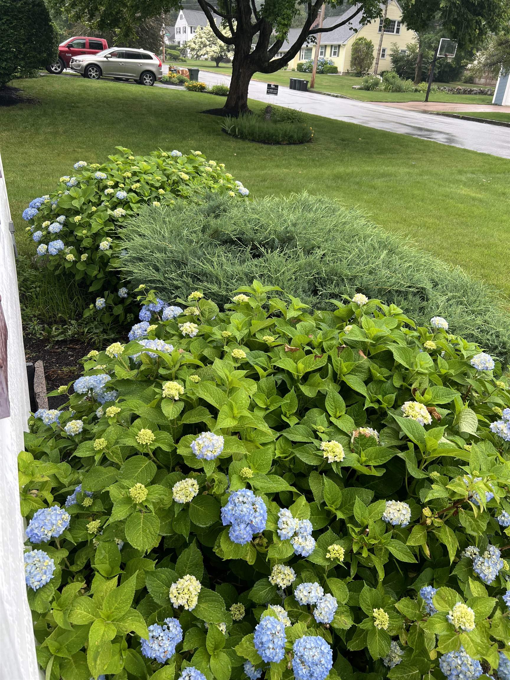 MLS #5074277 image #3