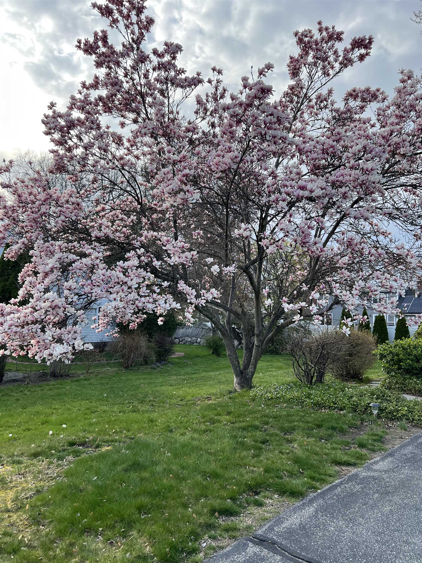 MLS #5074277 image #7