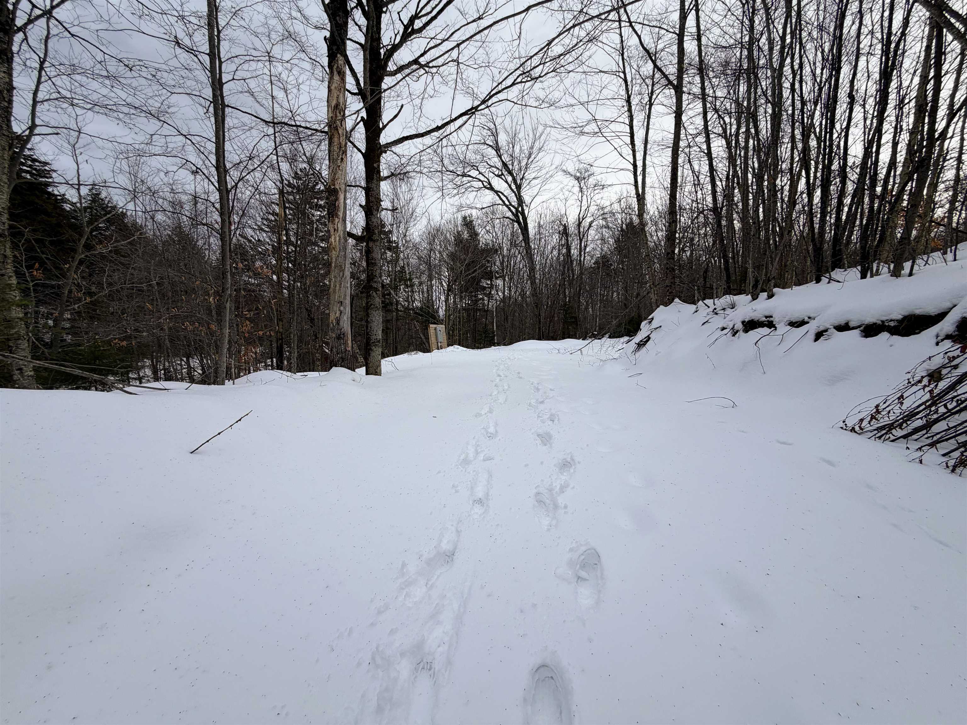 Homes for sale in Chester, VT | 469 Williams Rd, Chester, VT 05143 | MLS# 5074309