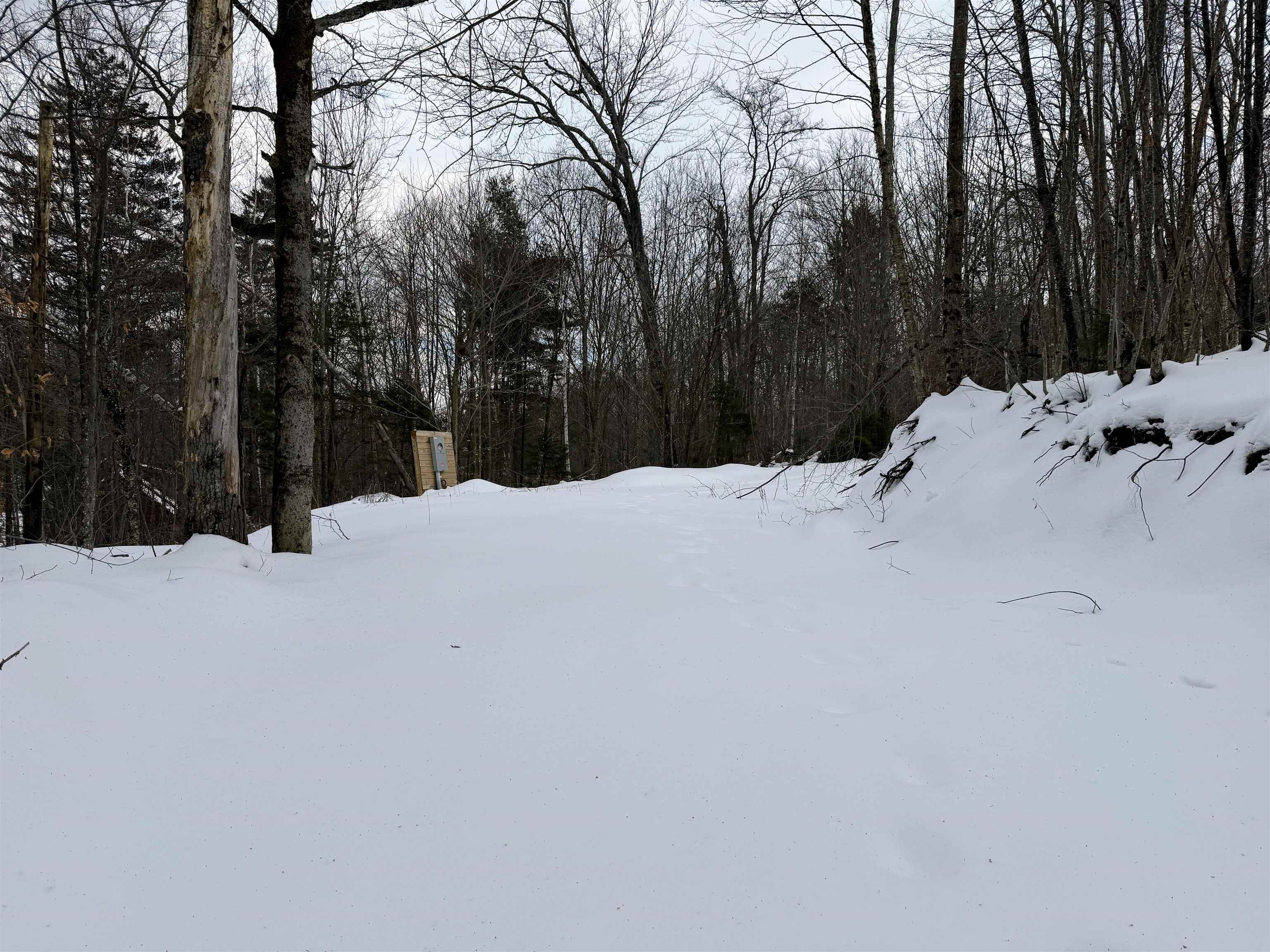 Homes for sale in Chester, VT | 469 Williams Rd, Chester, VT 05143 | MLS# 5074309