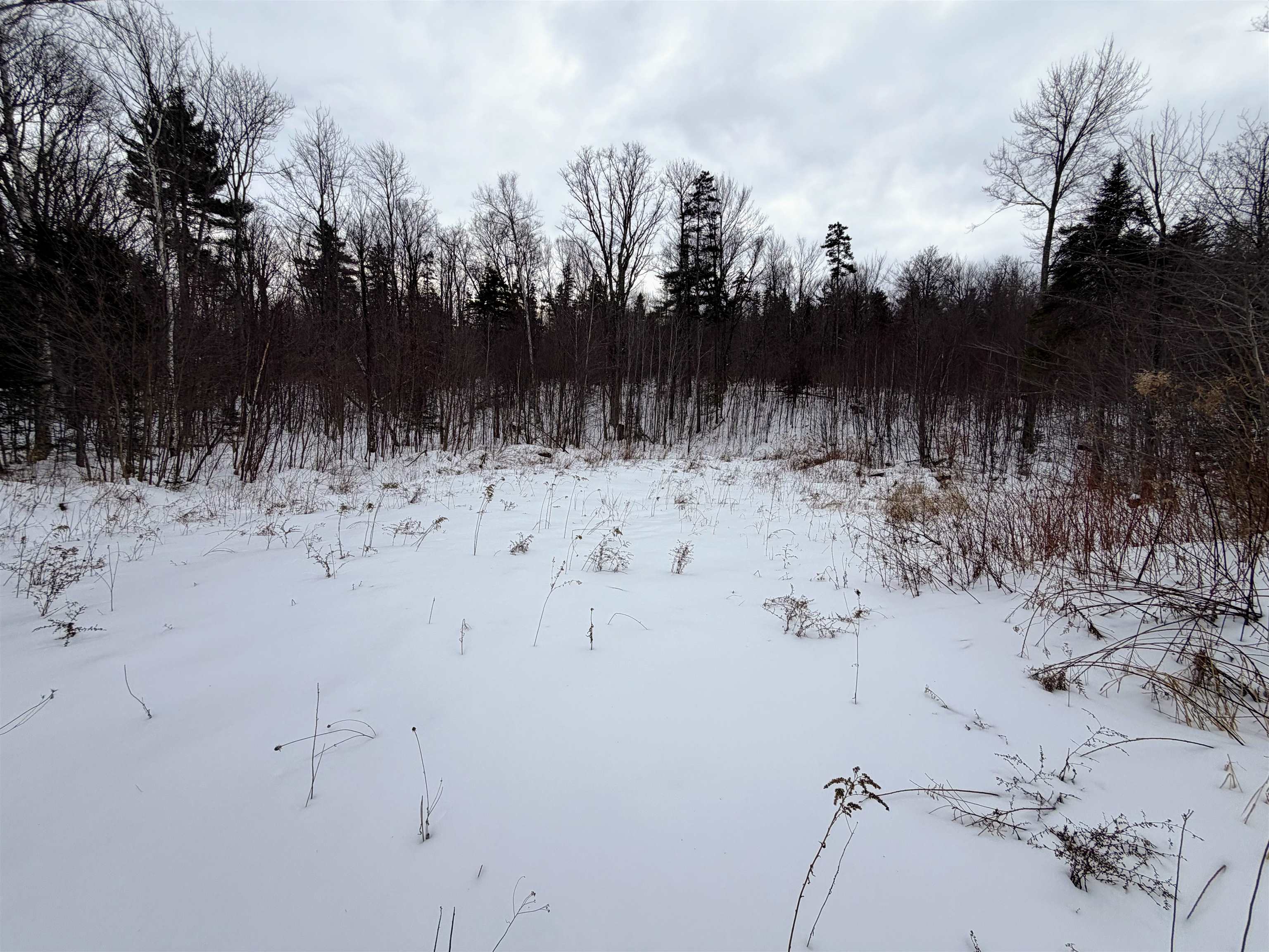 Homes for sale in Chester, VT | 469 Williams Rd, Chester, VT 05143 | MLS# 5074309